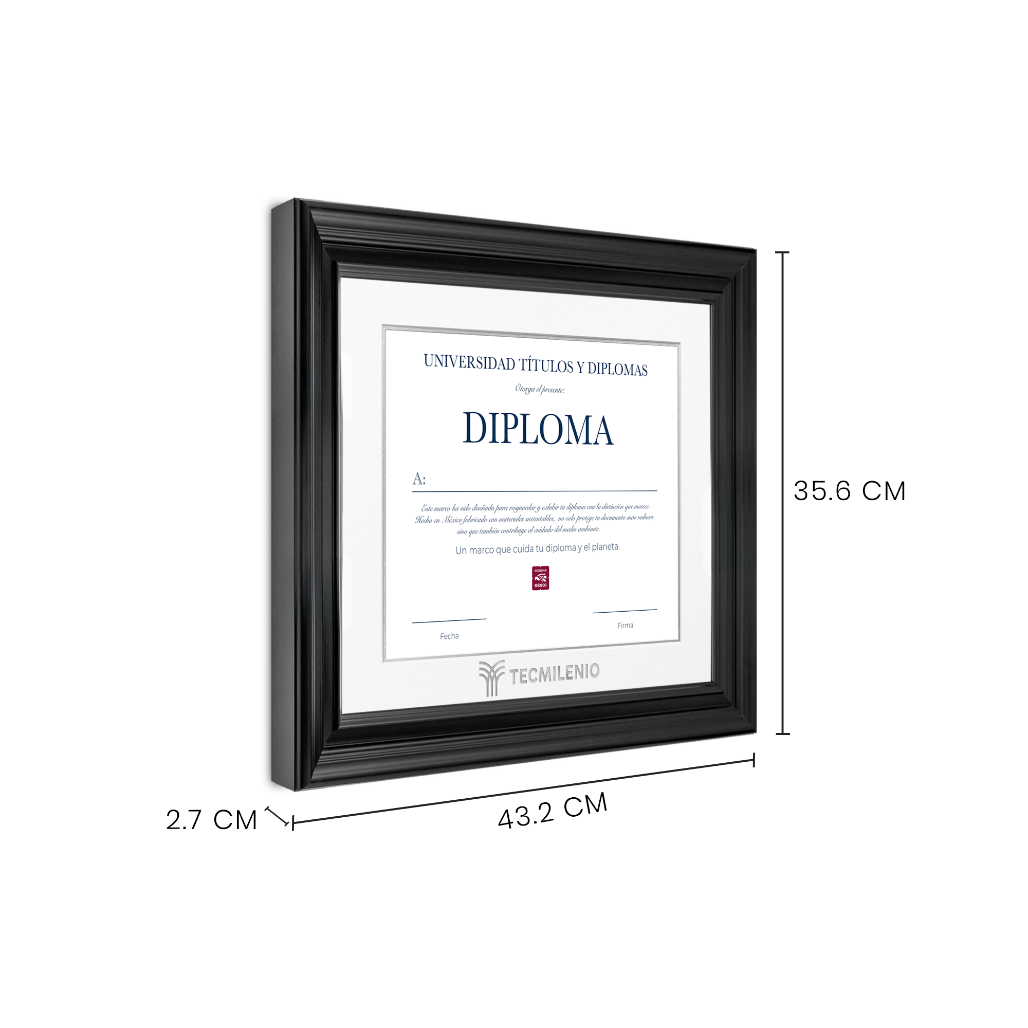 Diploma oficial Tecmilenio Marco color negro con relieves