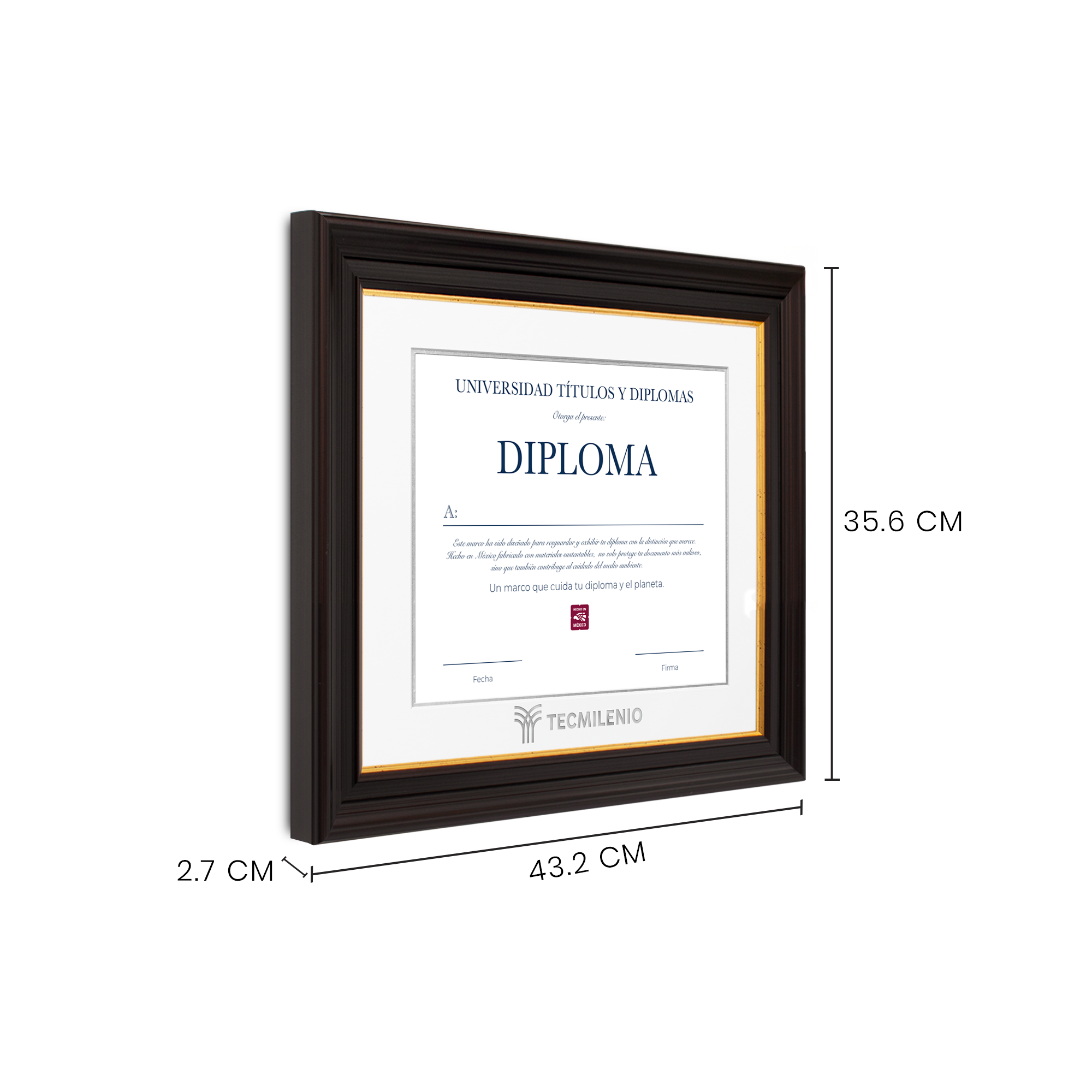 Diploma oficial Tecmilenio Marco negro con filo dorado