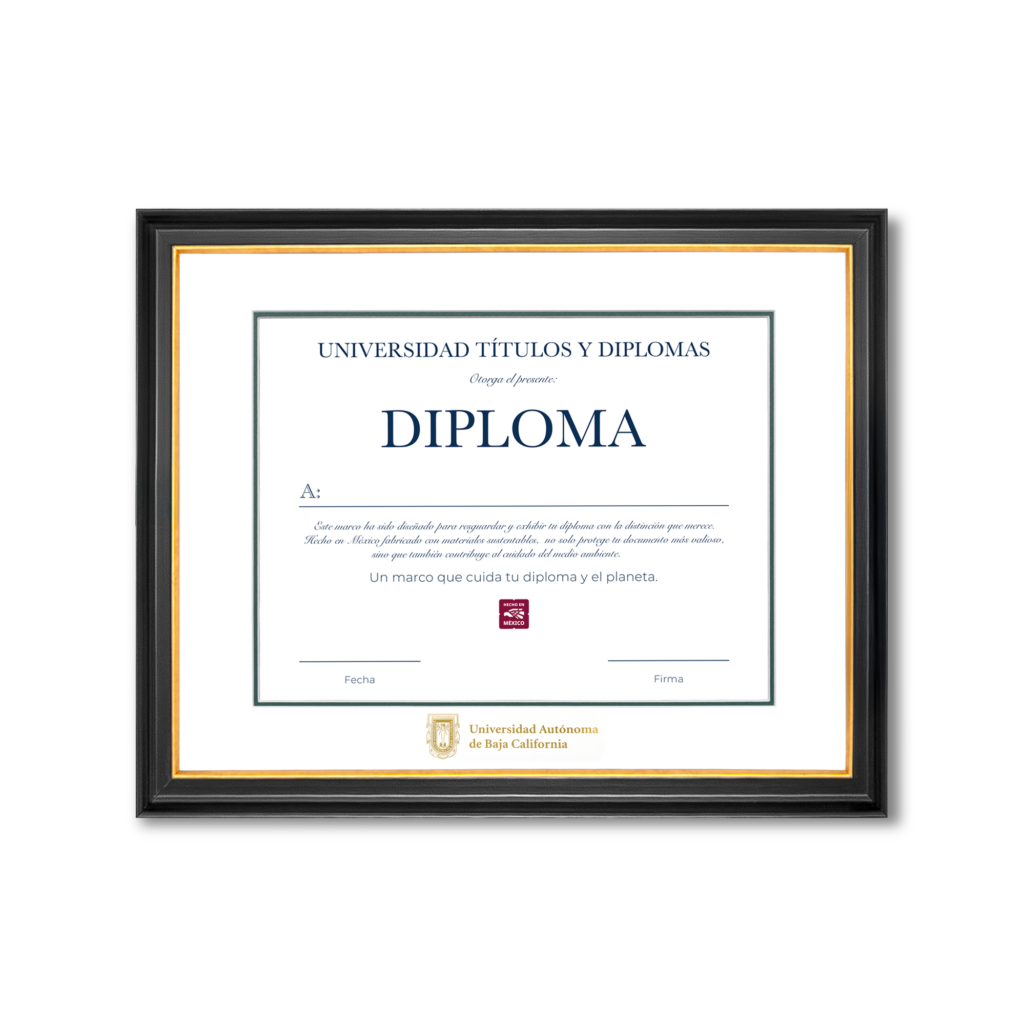 Diploma oficial UABC Marco negro con filo dorado