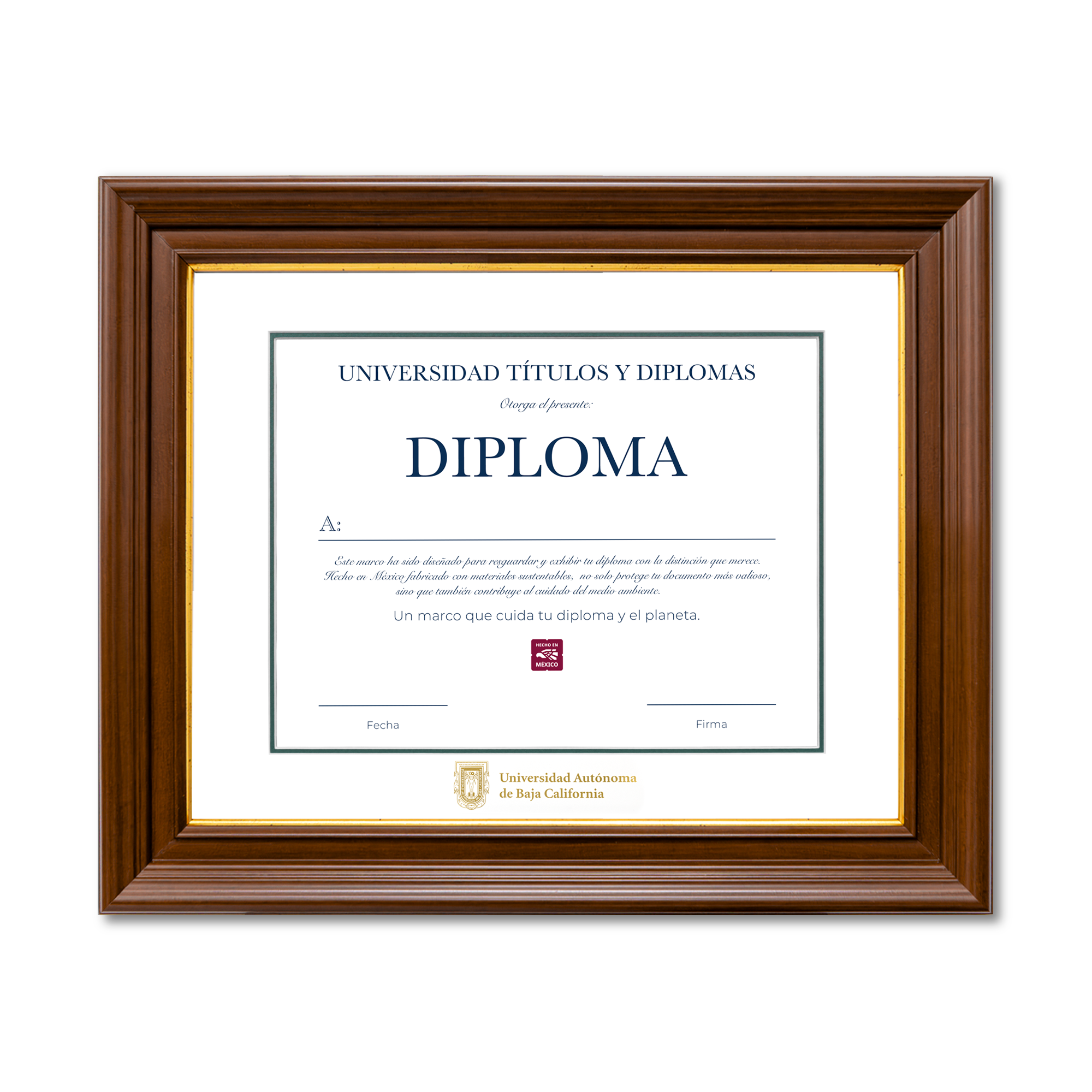 Diploma oficial UABC Marco color nogal