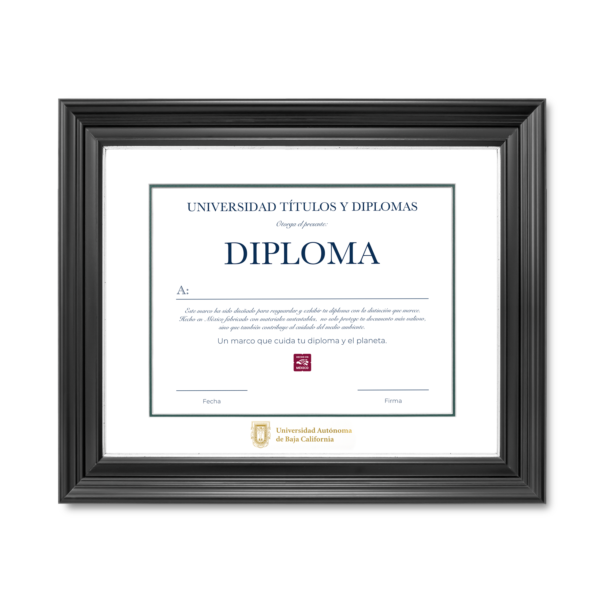 Diploma oficial UABC Marco Nogal