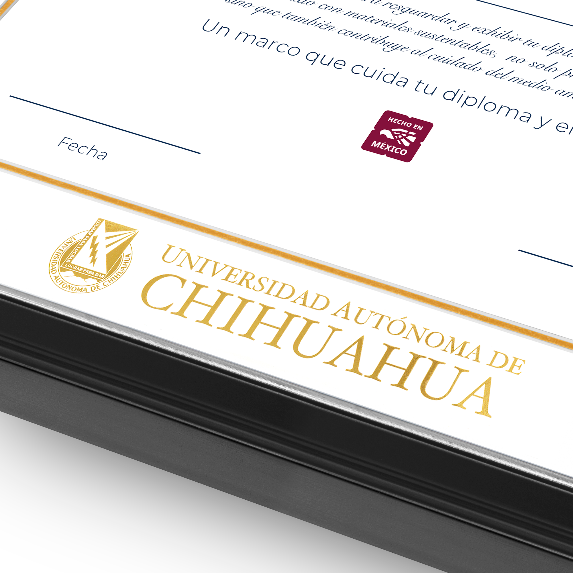 Diploma oficial UACH Marco negro con filo plateado