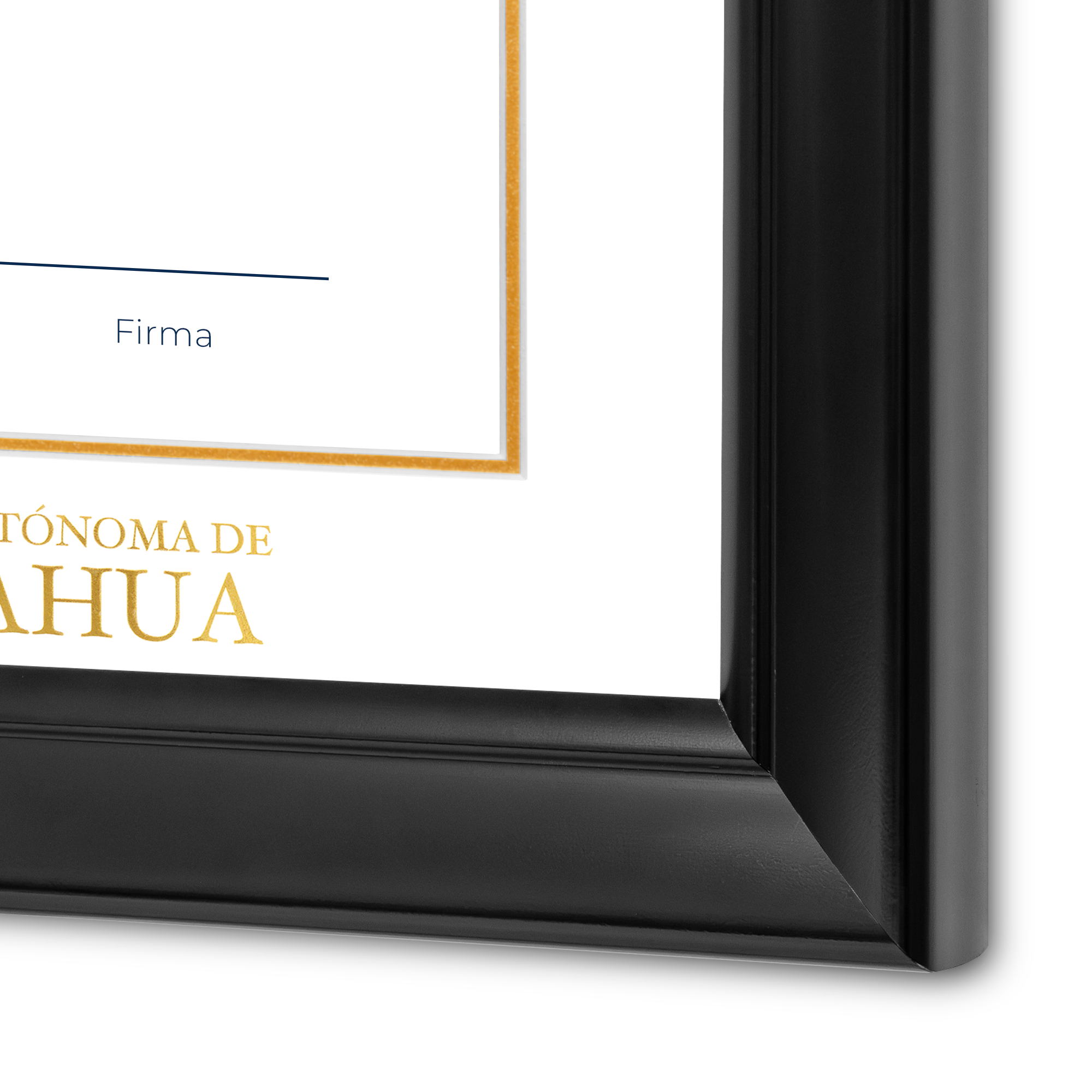 Diploma oficial UACH Marco color negro