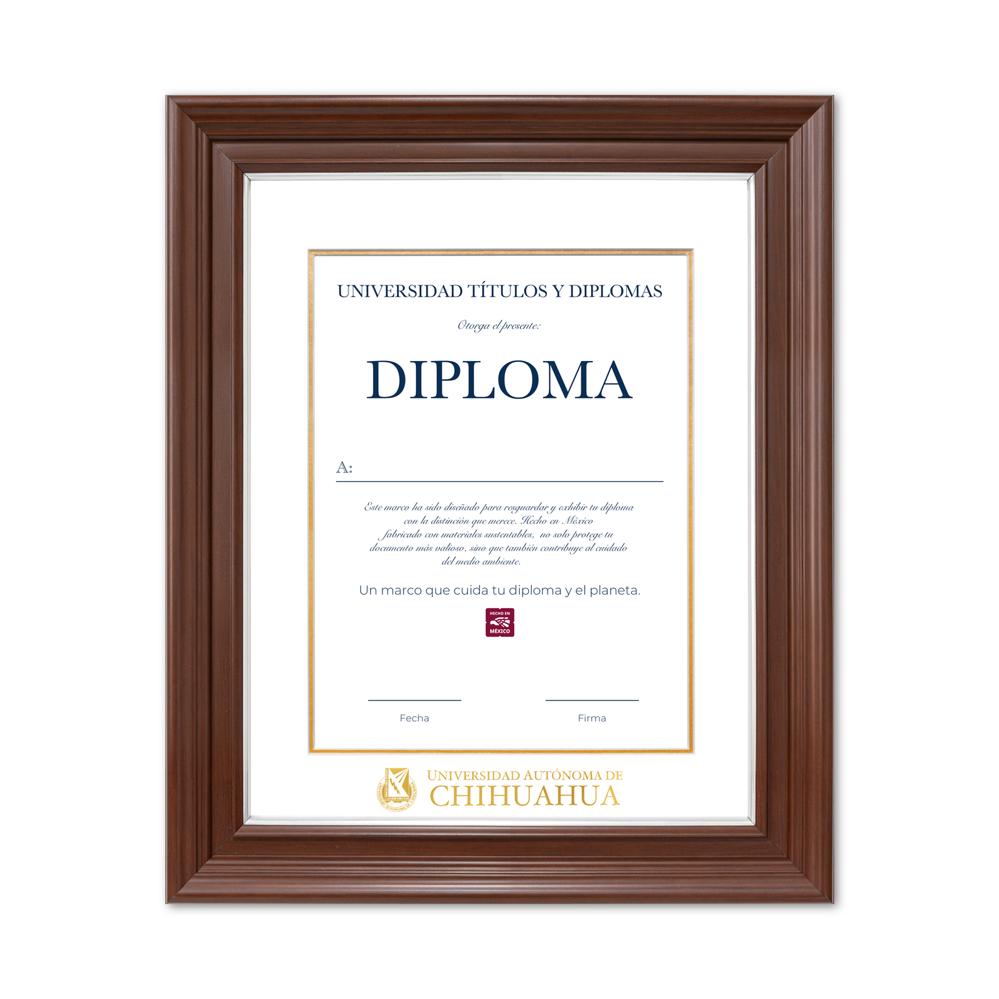Diploma oficial UACH Marco Nogal