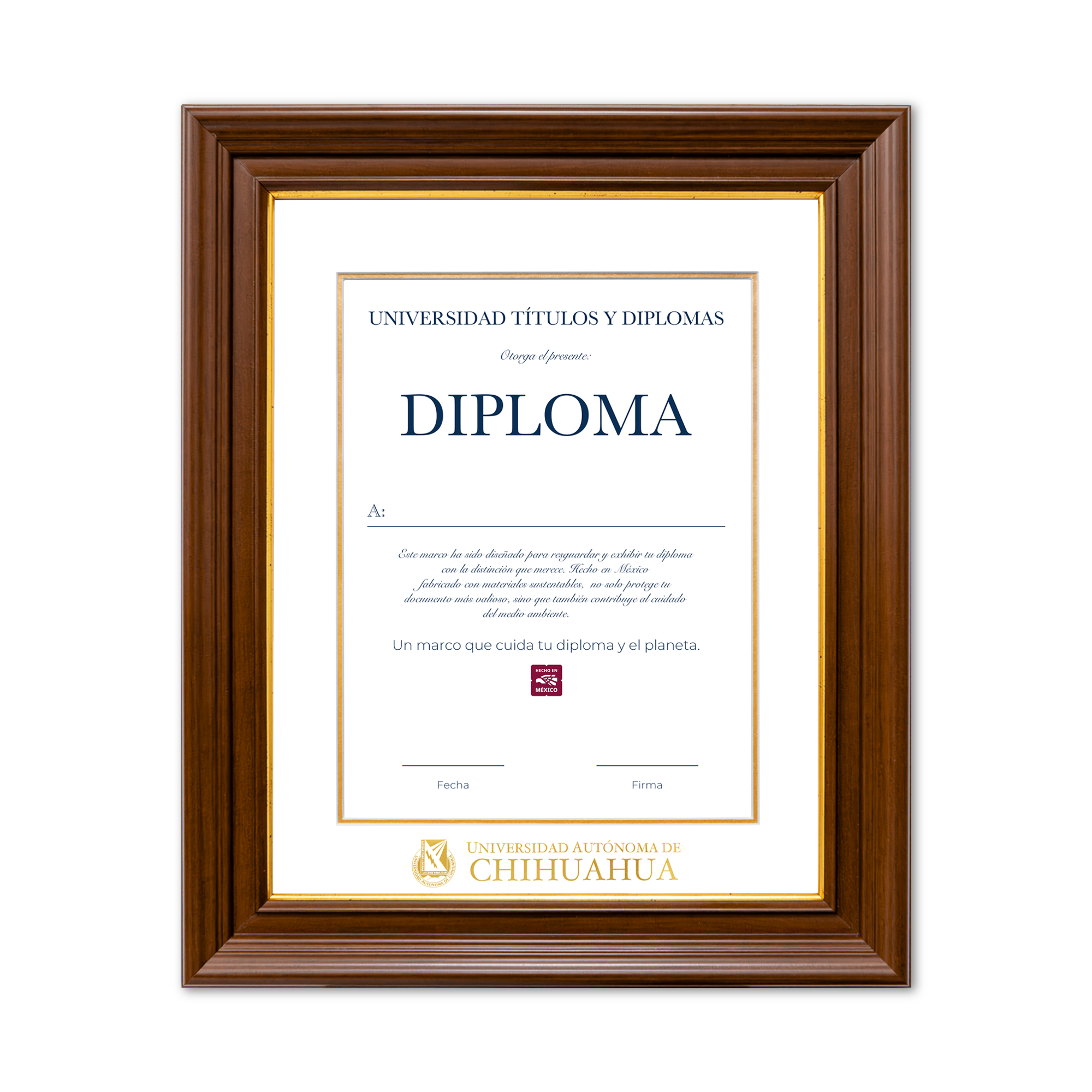 Diploma oficial UACH Marco color nogal