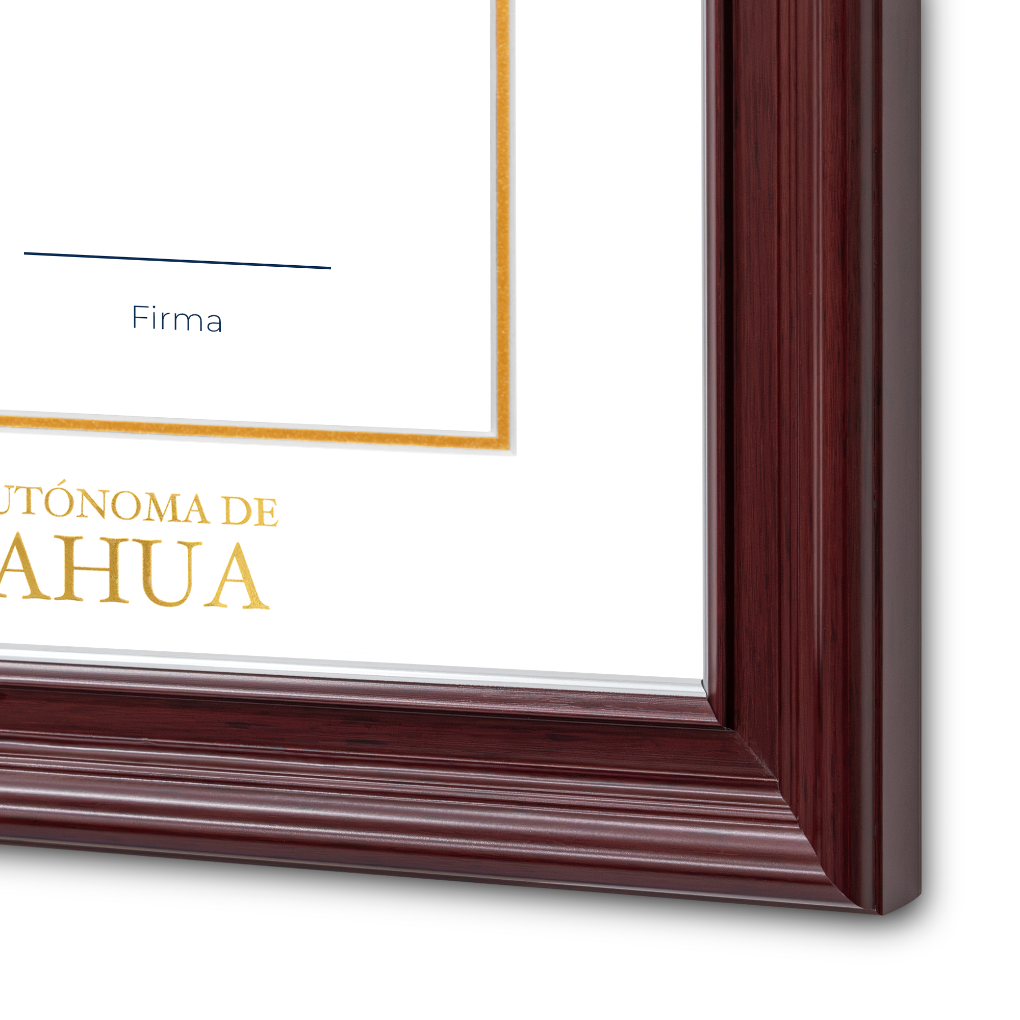 Diploma oficial UACH Marco negro