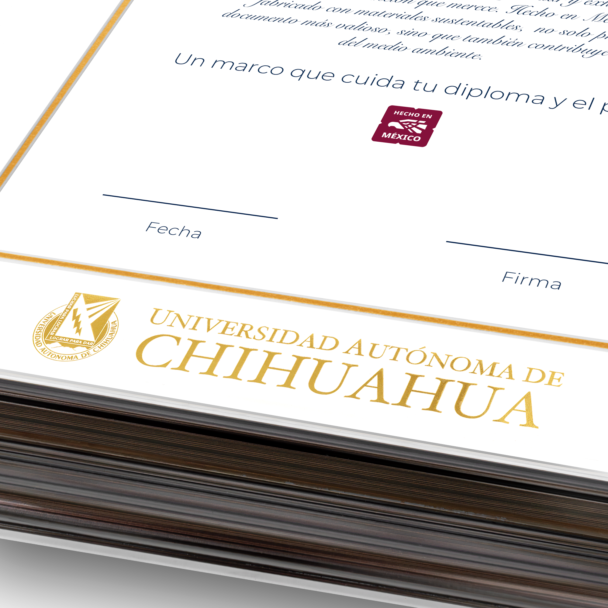 Diploma oficial UACH marco color negro