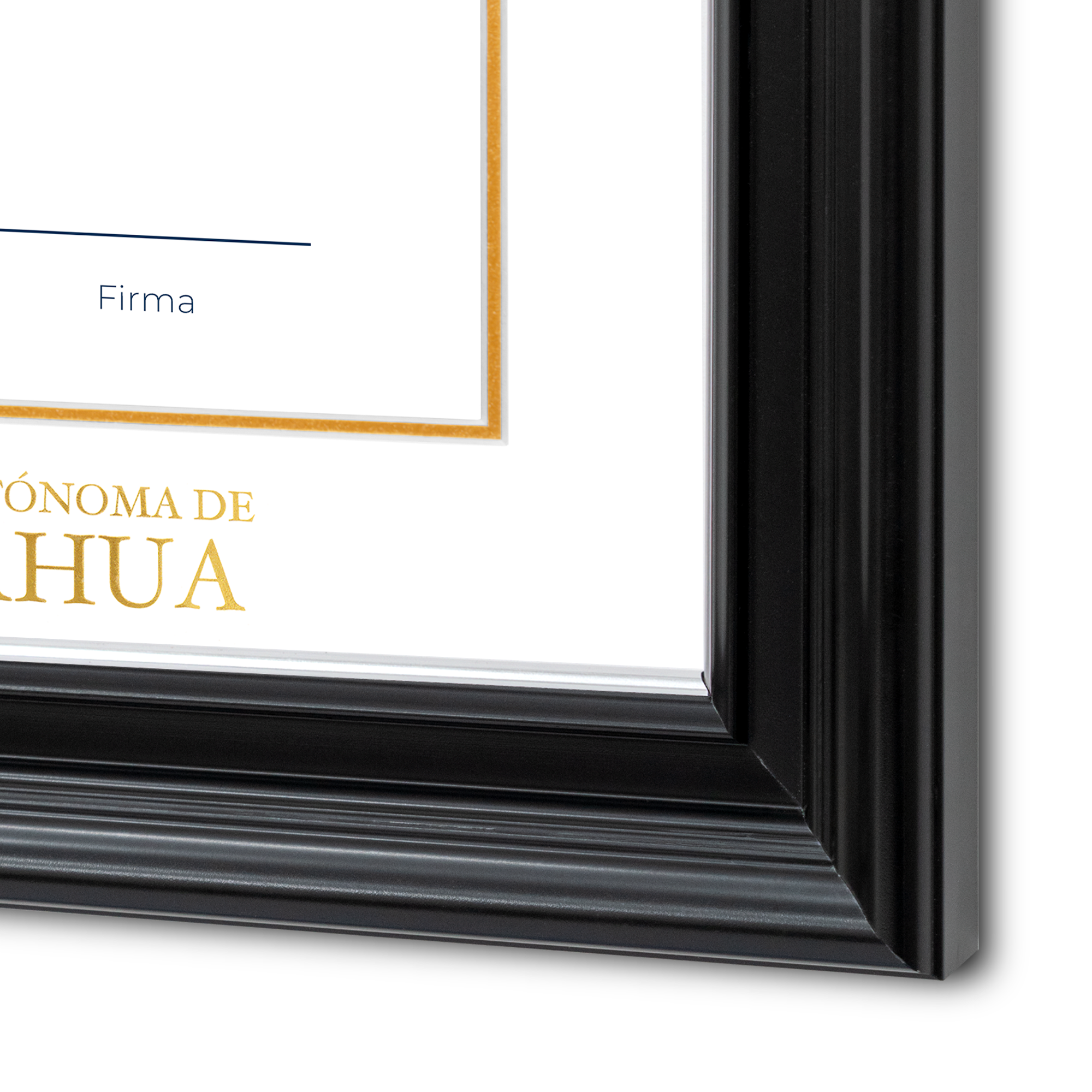 Diploma oficial UACH Marco Nogal