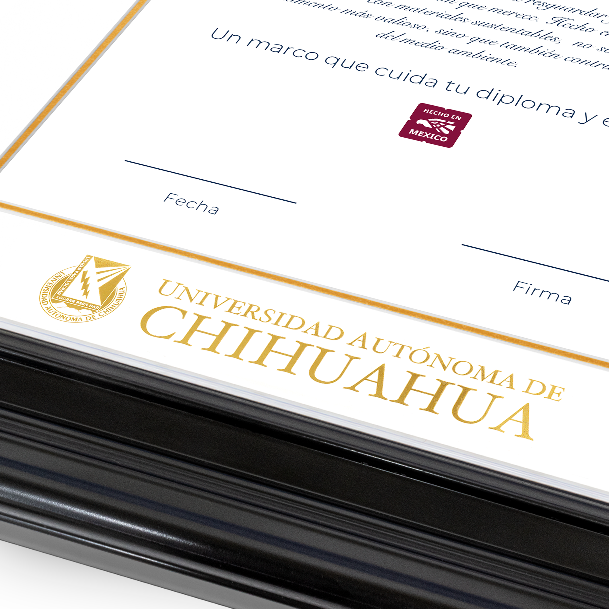 Diploma oficial UACH Marco Nogal