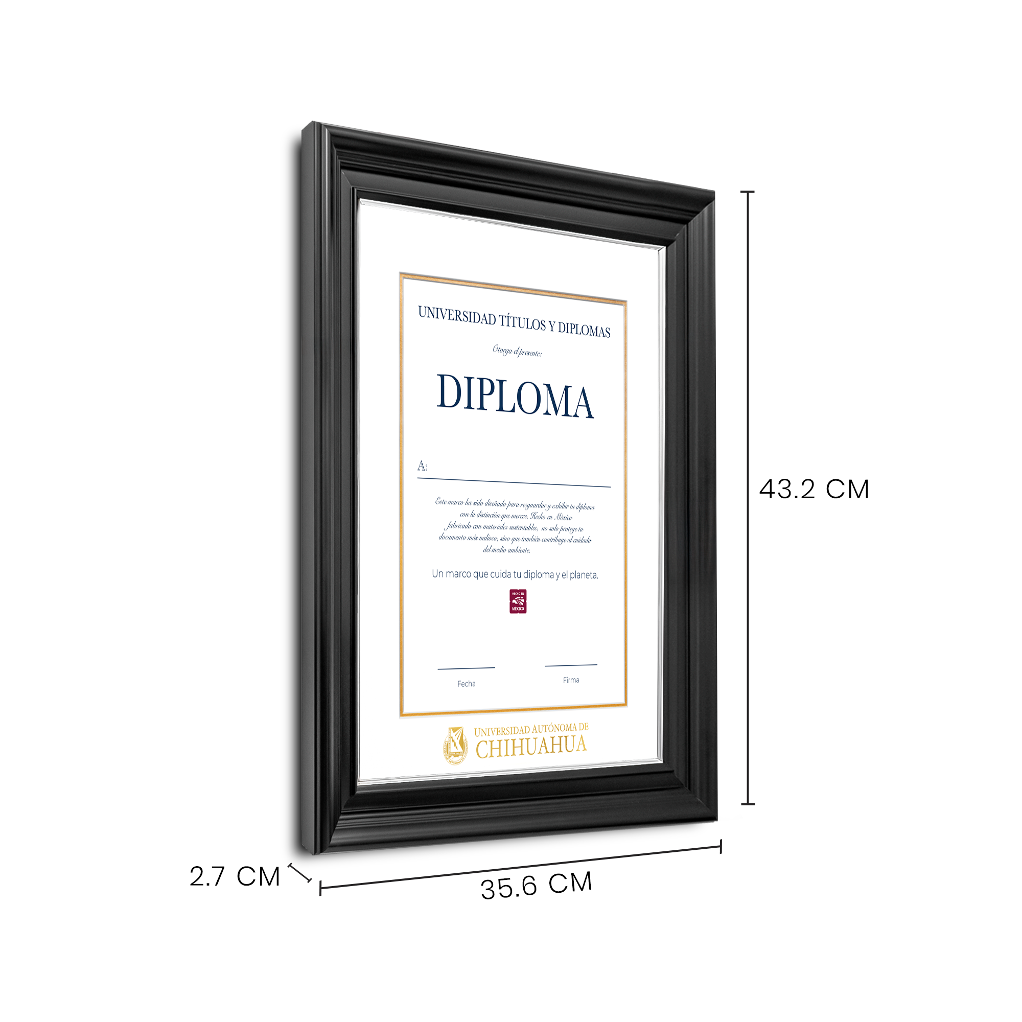 Diploma oficial UACH Marco Nogal