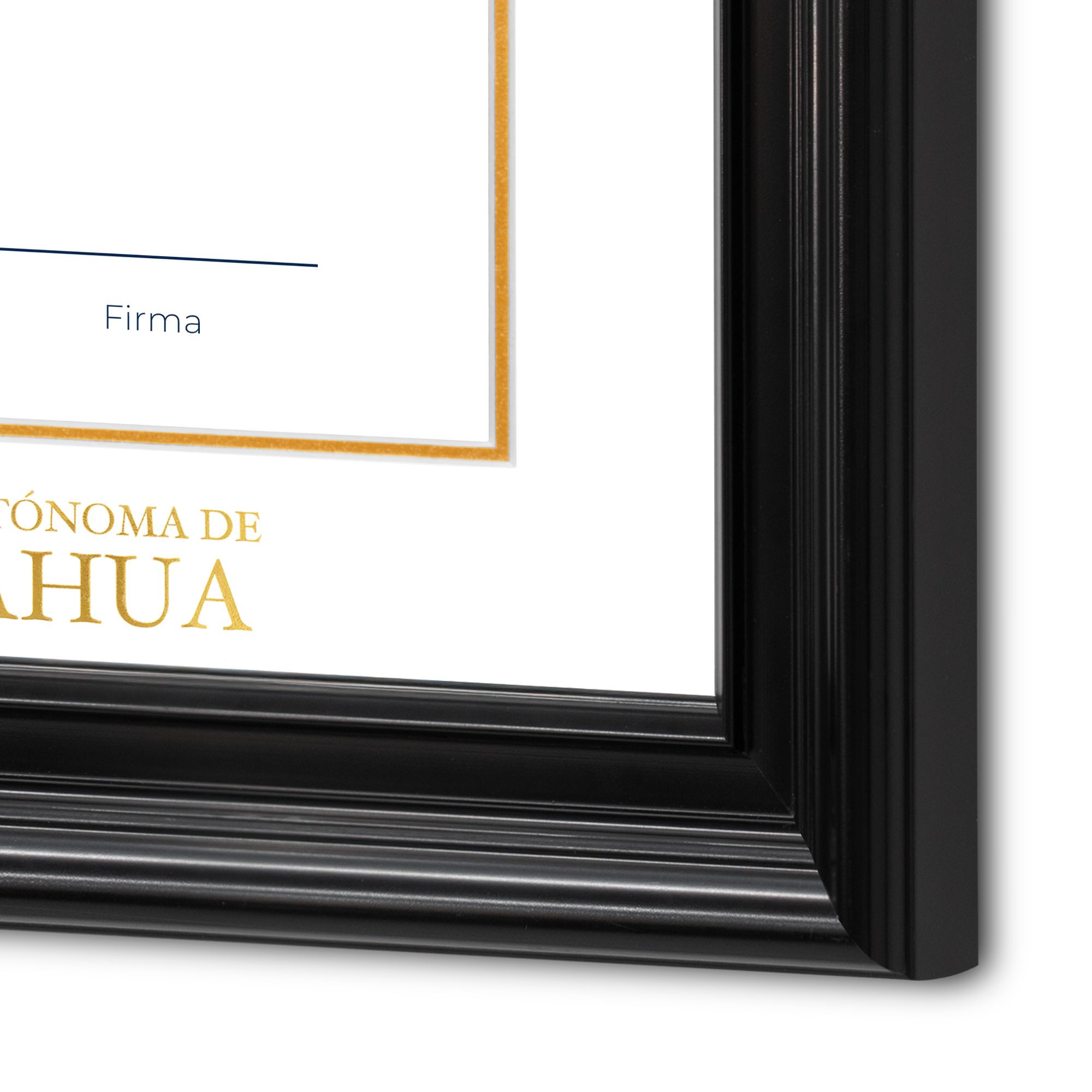 Diploma oficial UACH Marco color negro con relieves