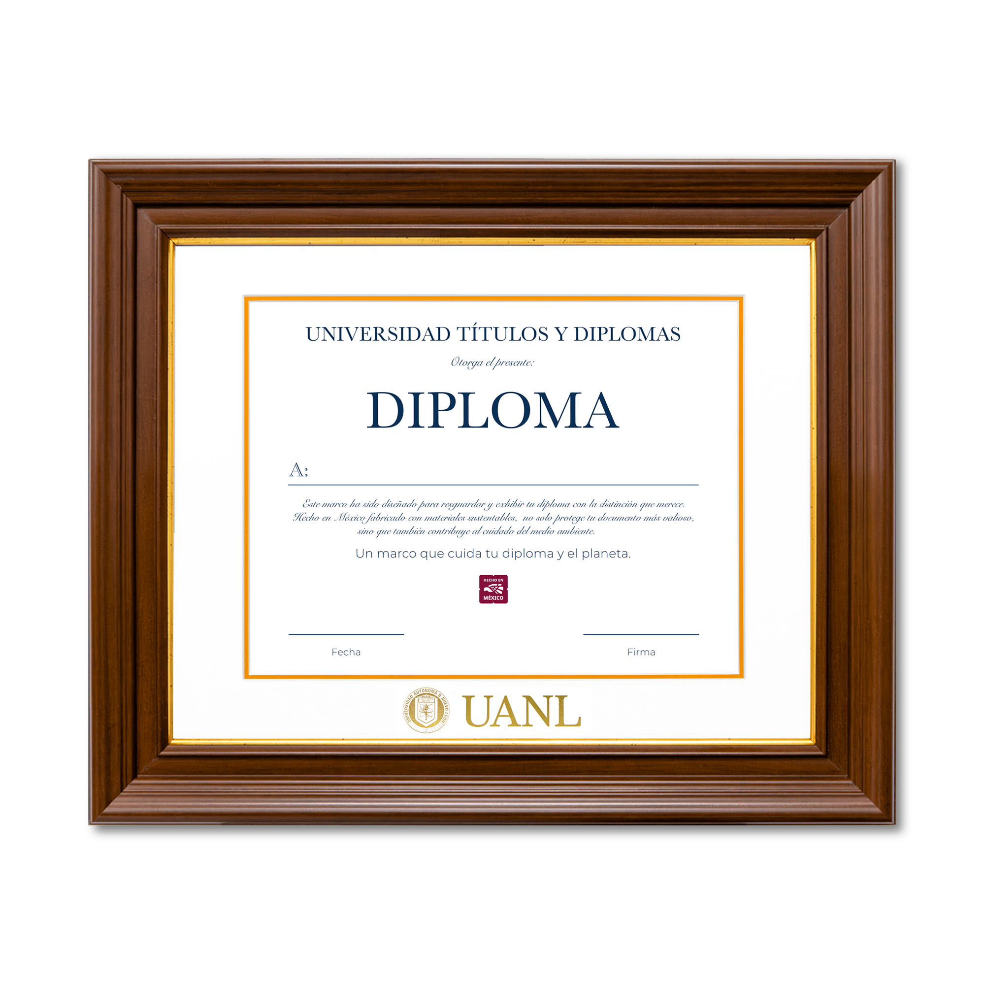 Diploma UANL de Poliestireno