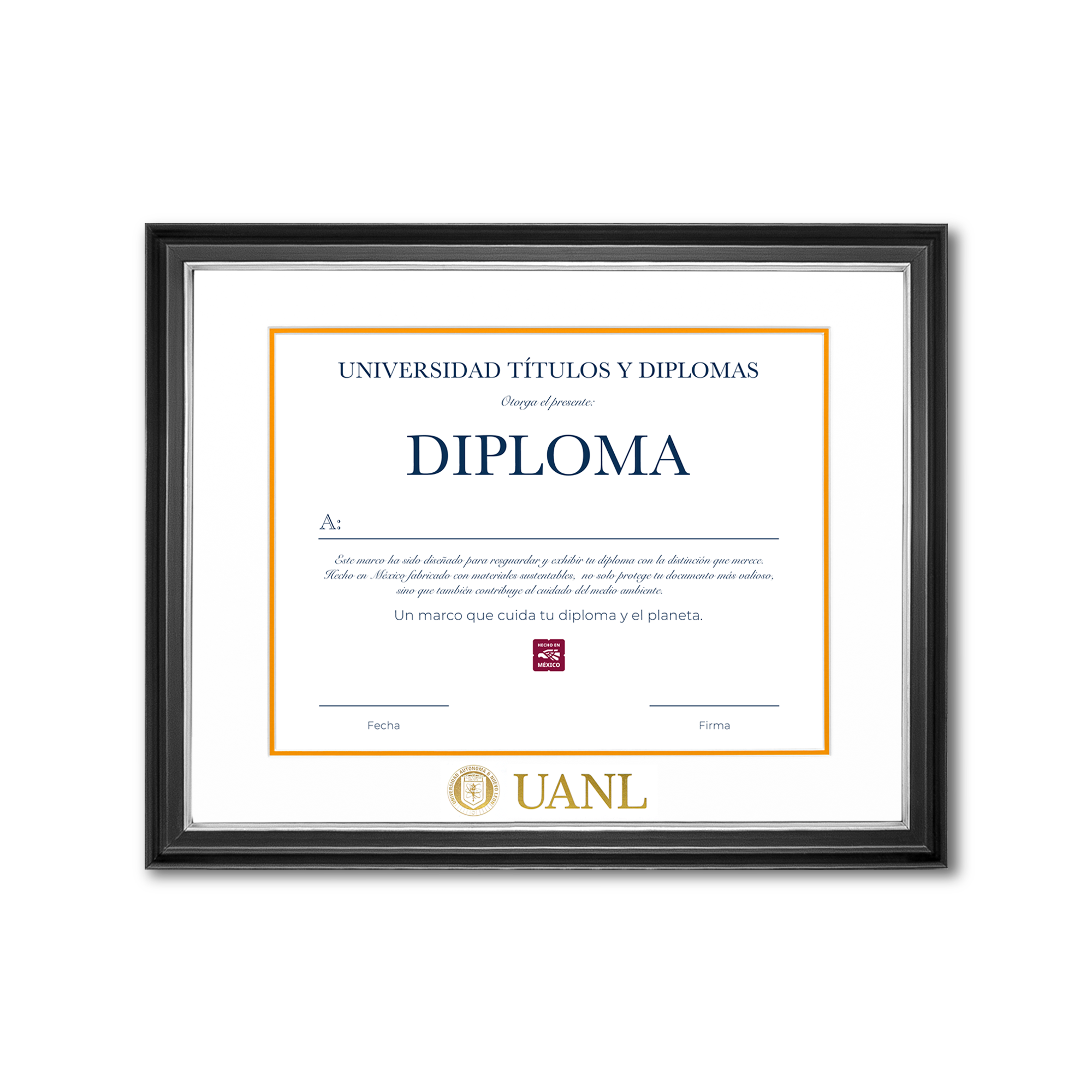 Diploma UANL de Madera