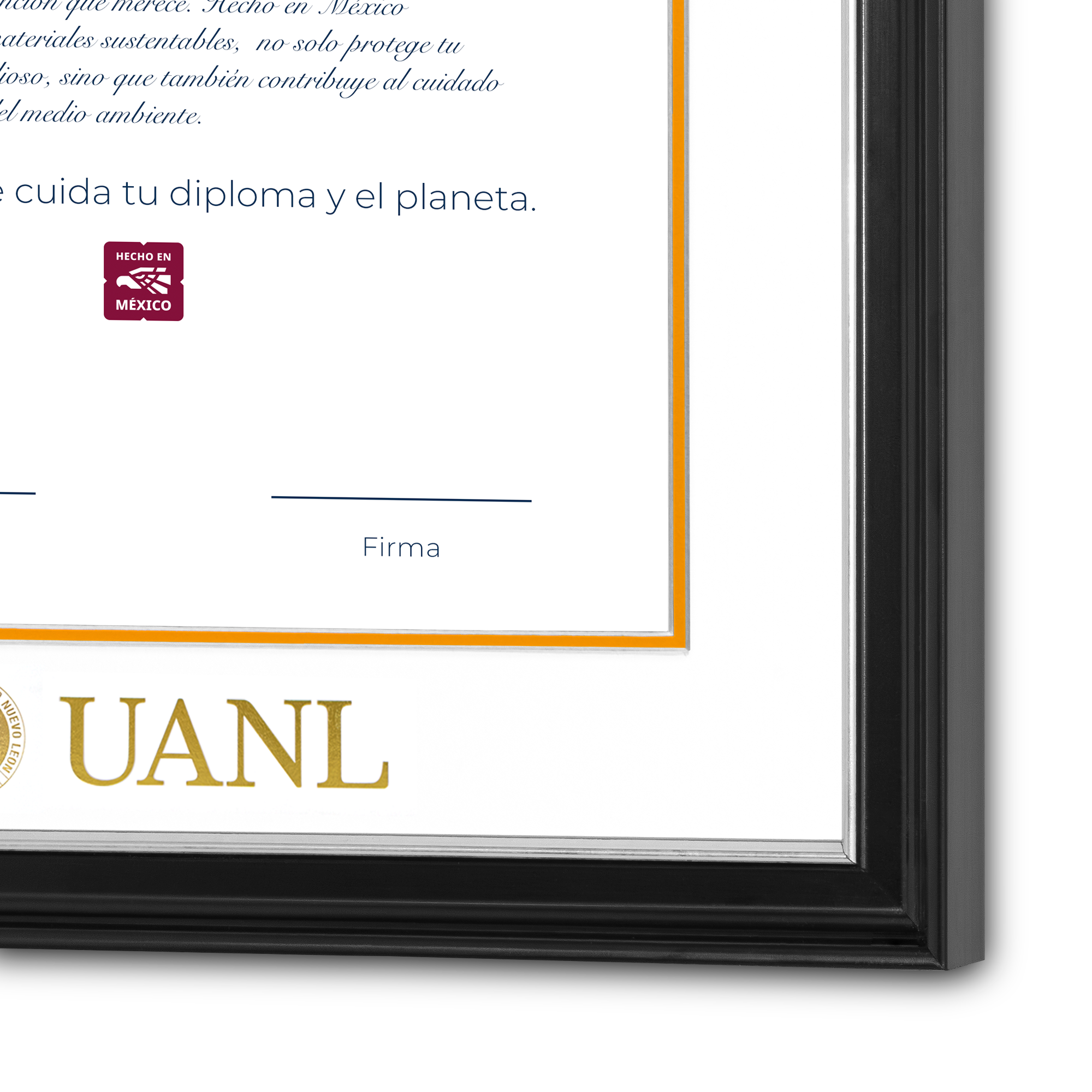 Diploma UANL de Madera