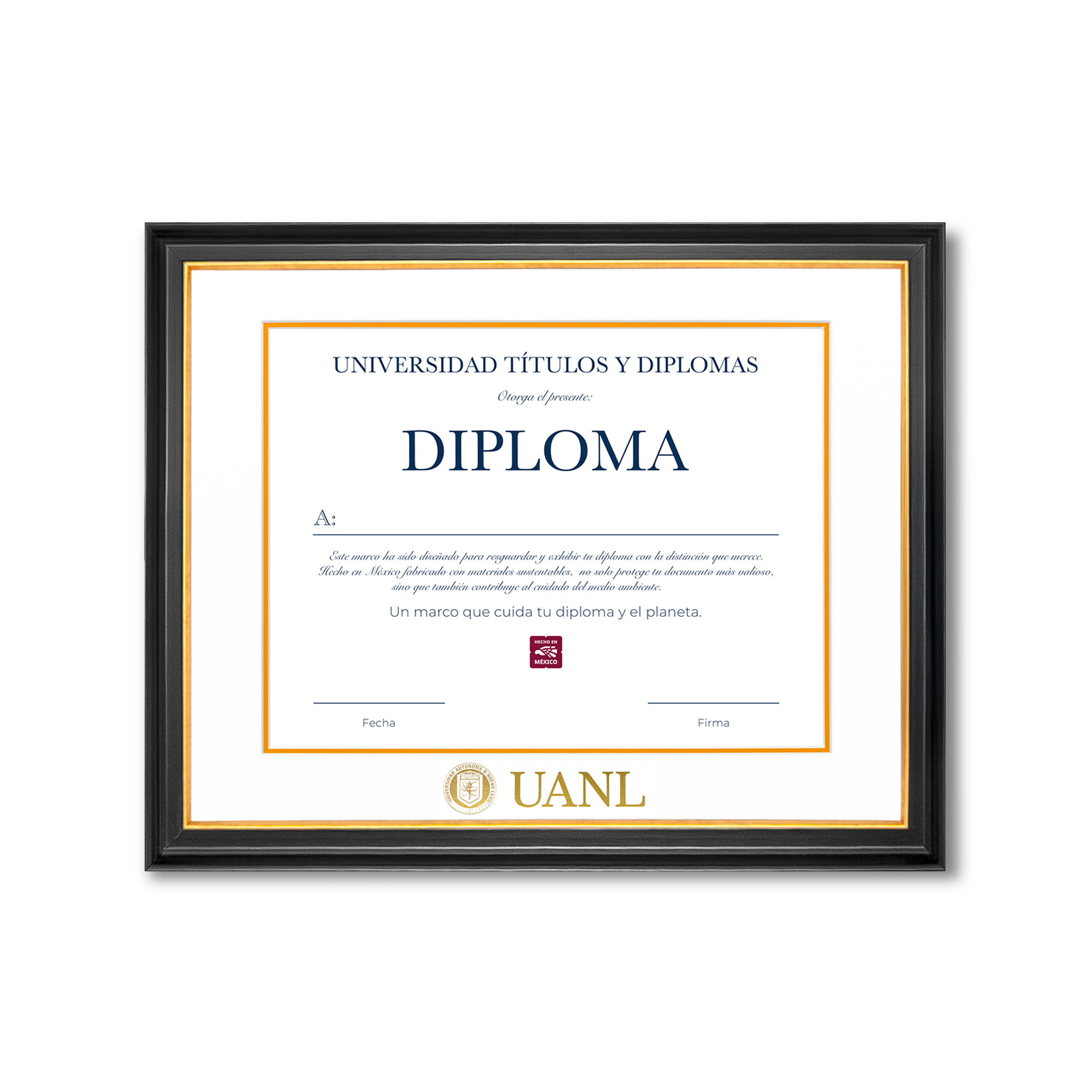 Diploma UANL de Madera
