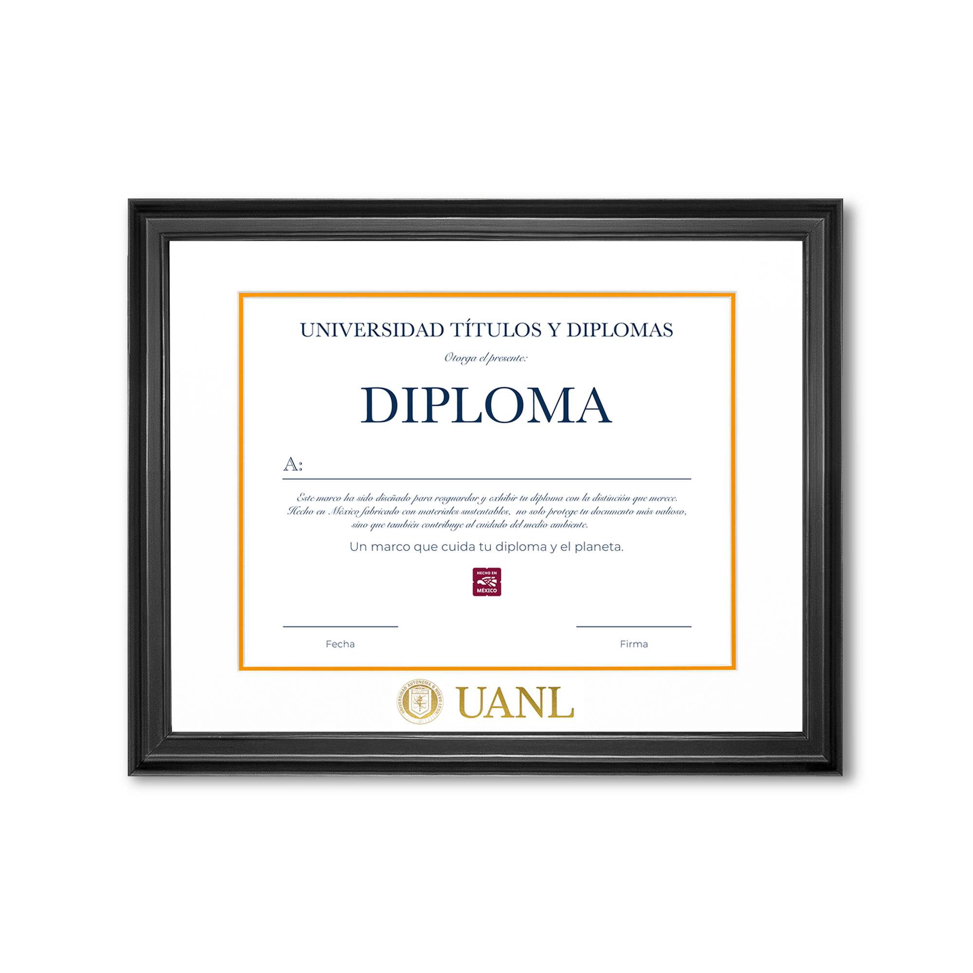 Diploma UANL de Madera