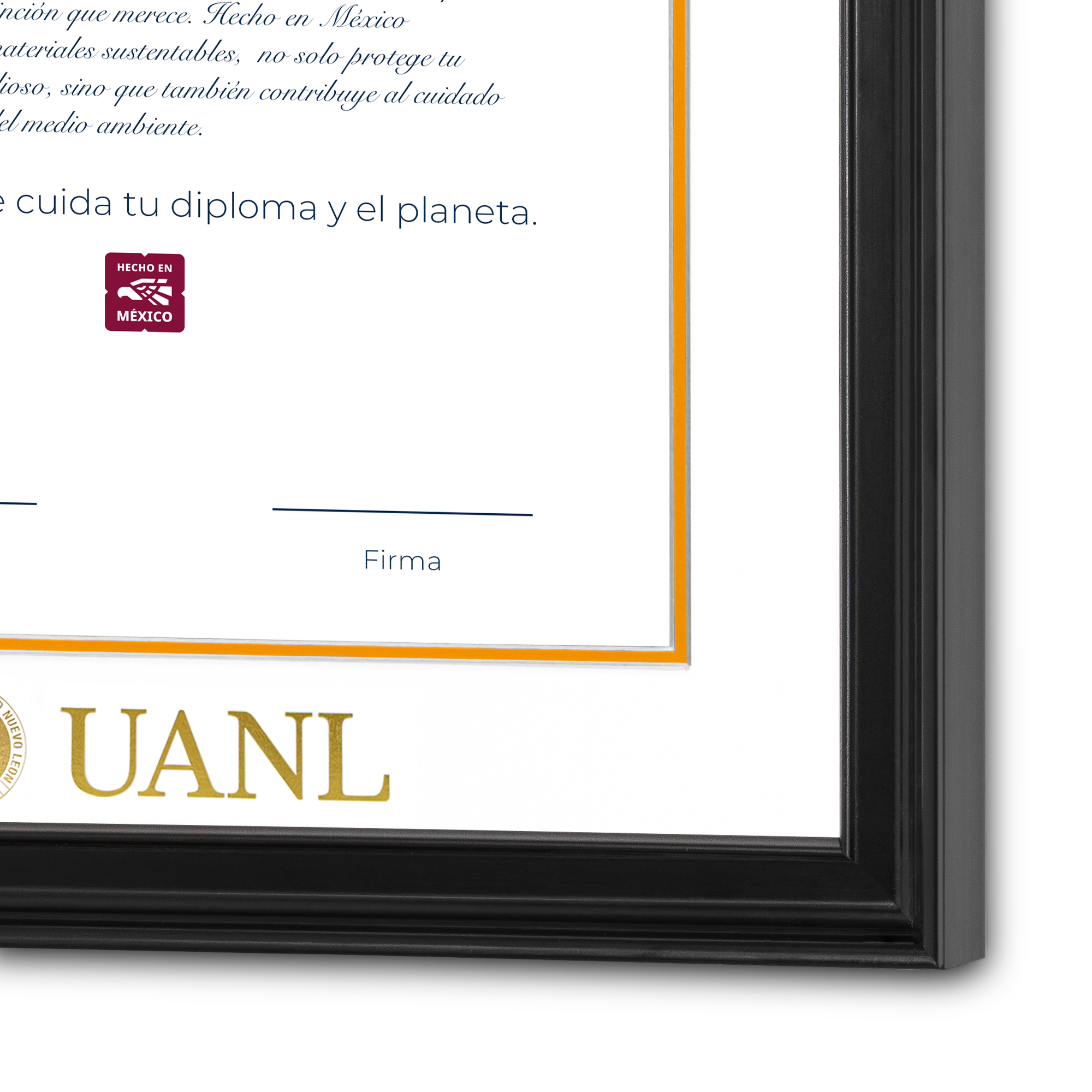 Diploma UANL de Madera