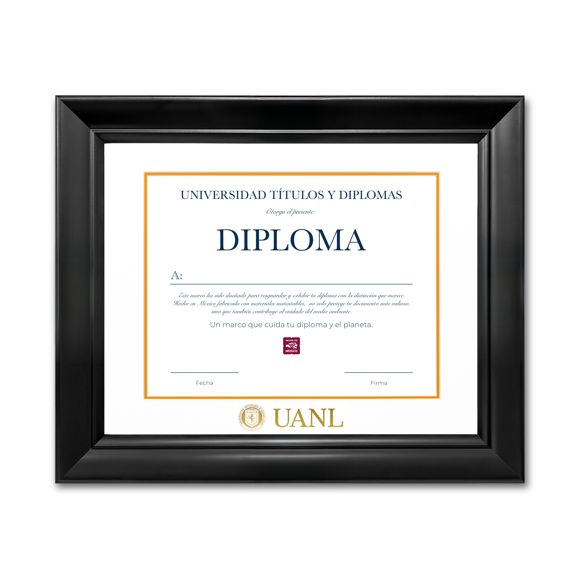 Diploma UANL de Poliestireno