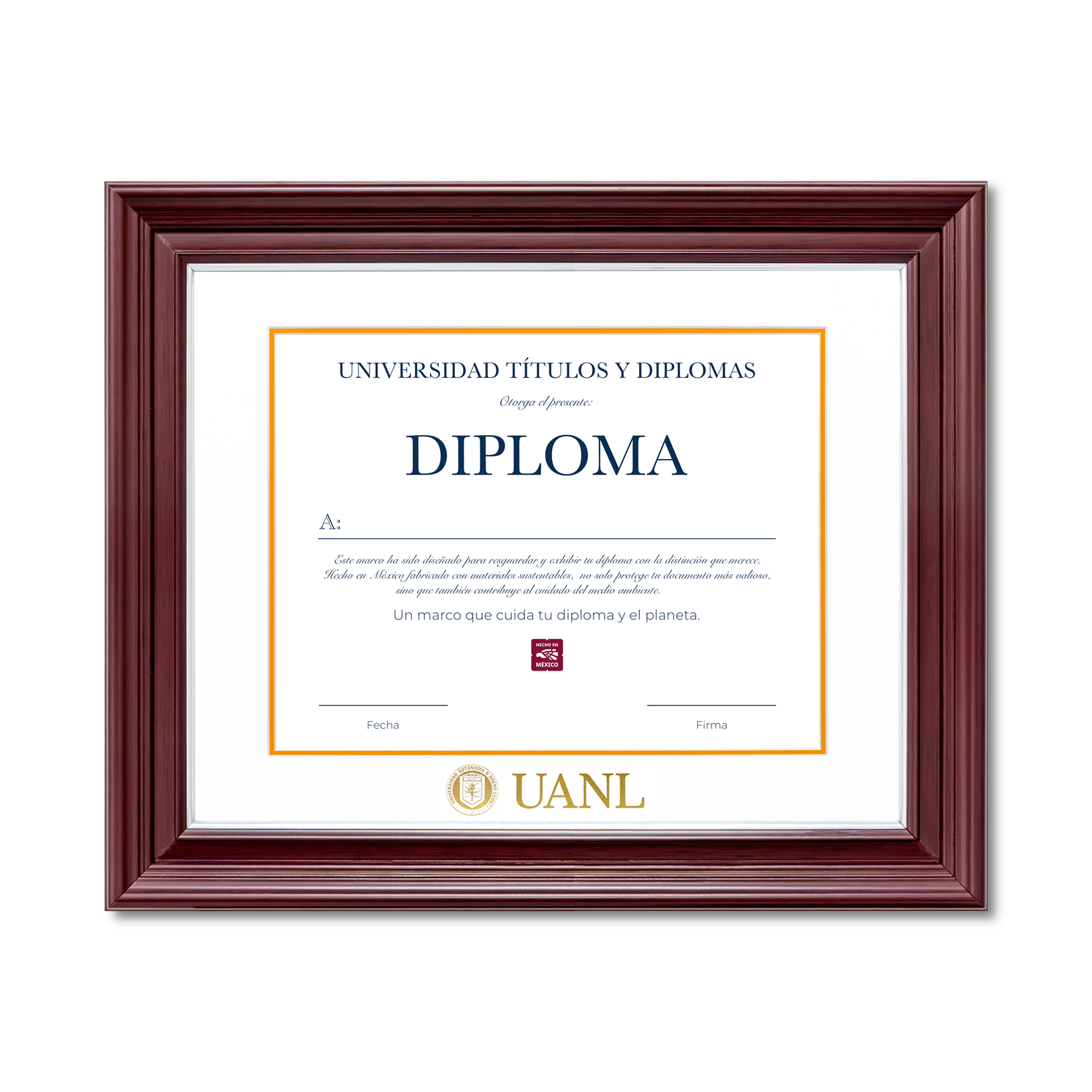 Diploma UANL de Poliestireno