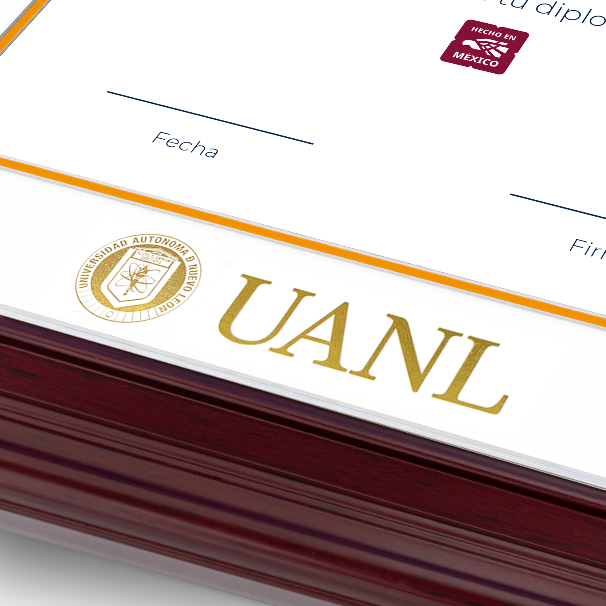 Diploma UANL de Poliestireno