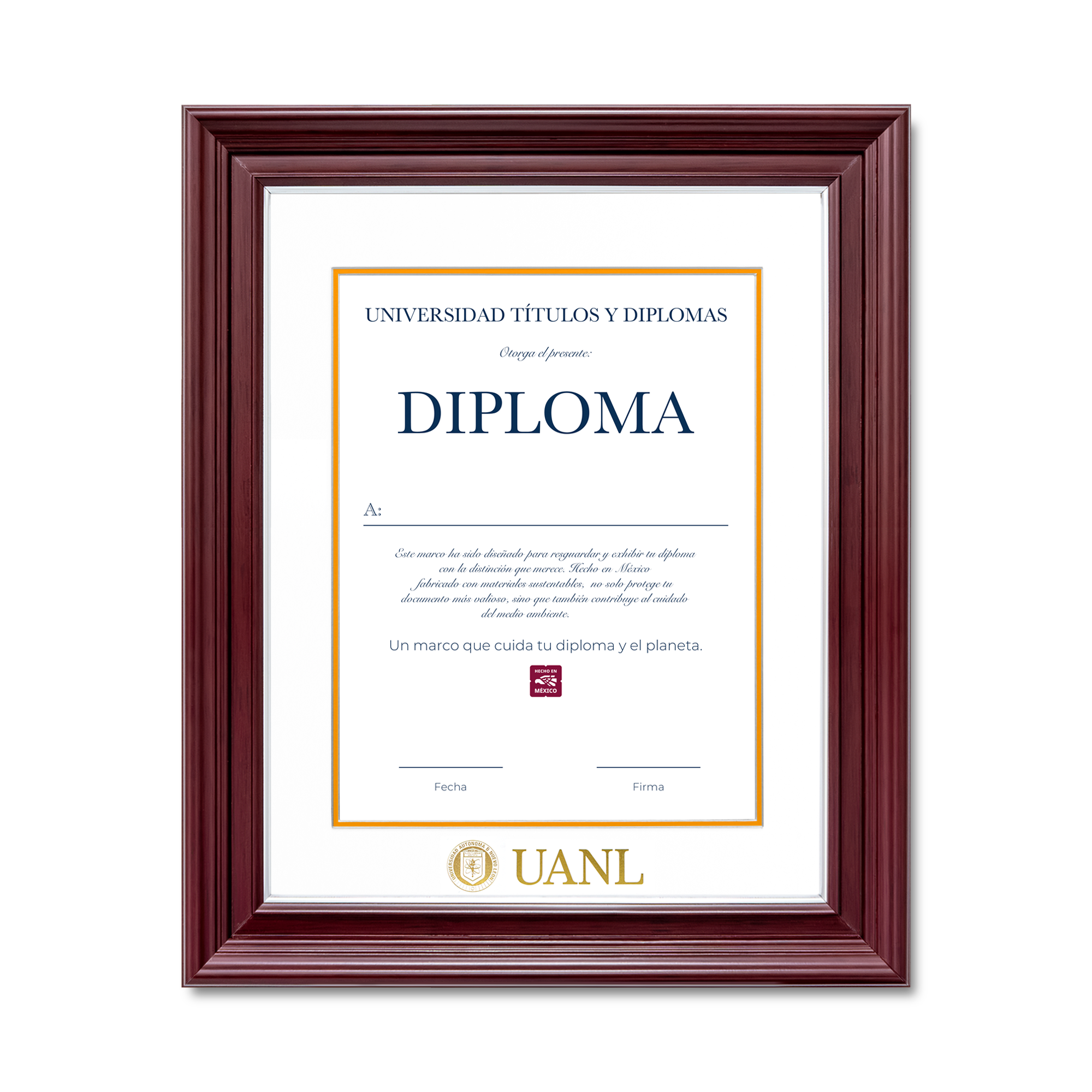 Diploma UANL de Poliestireno