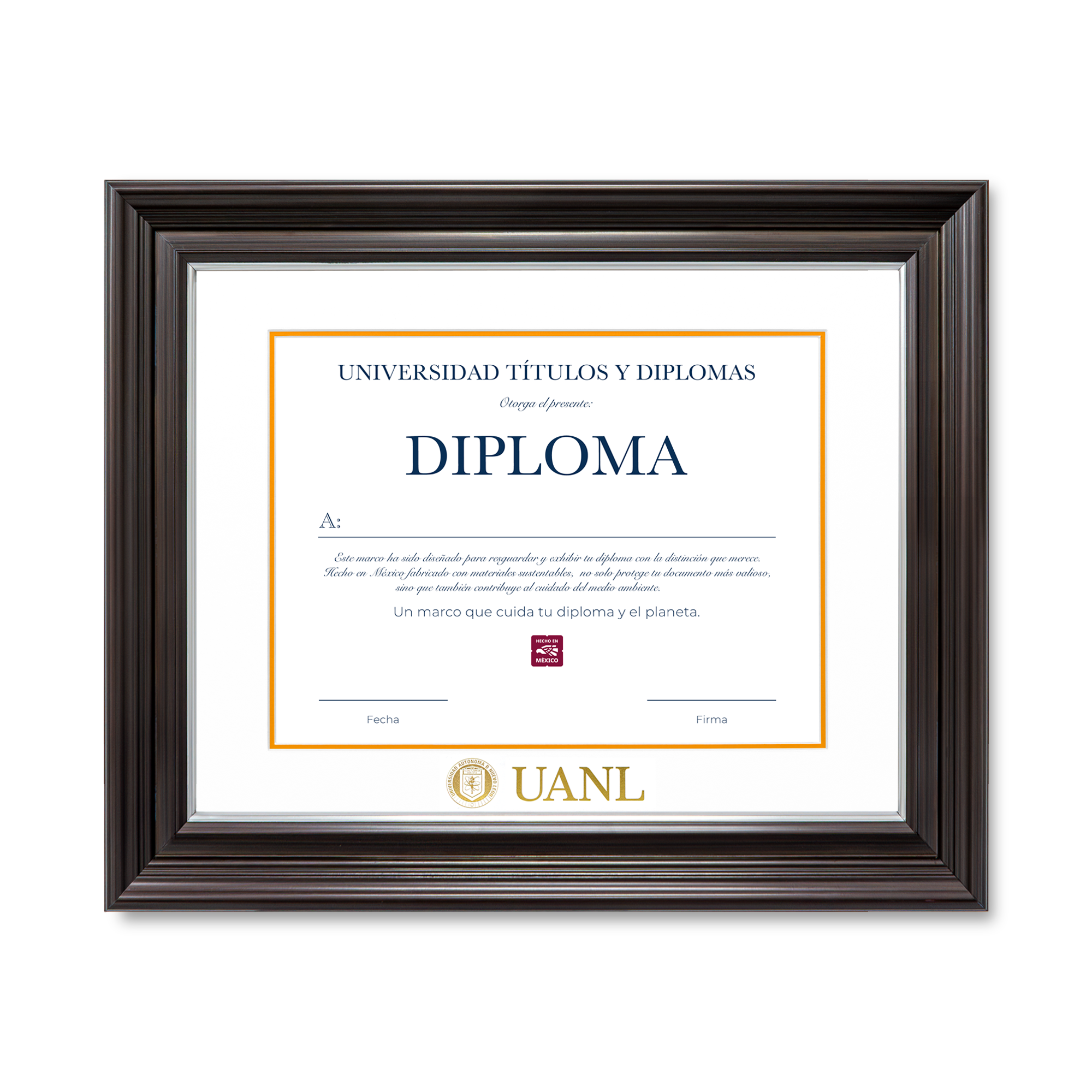 Diploma UANL de Poliestireno