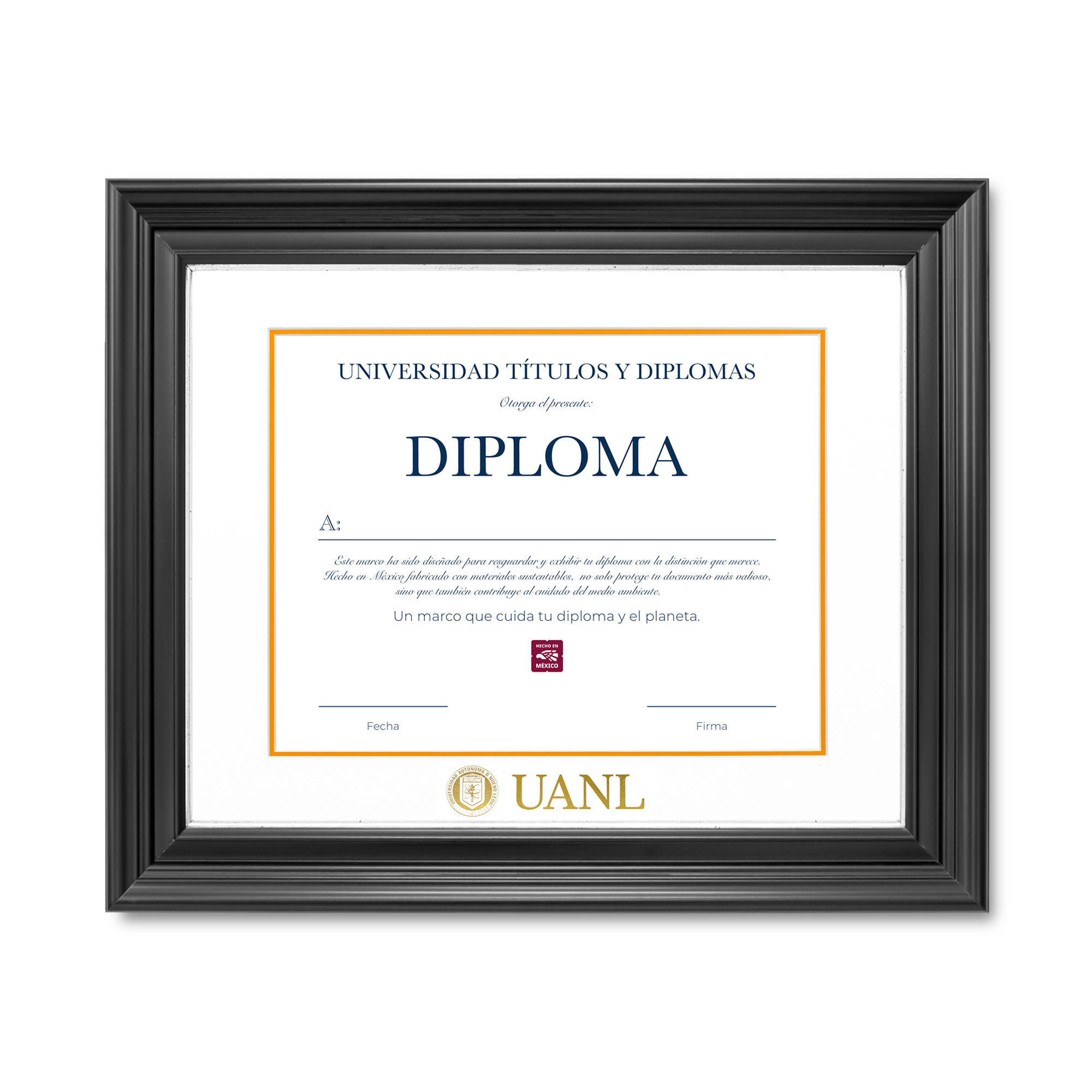 Diploma UANL de Poliestireno
