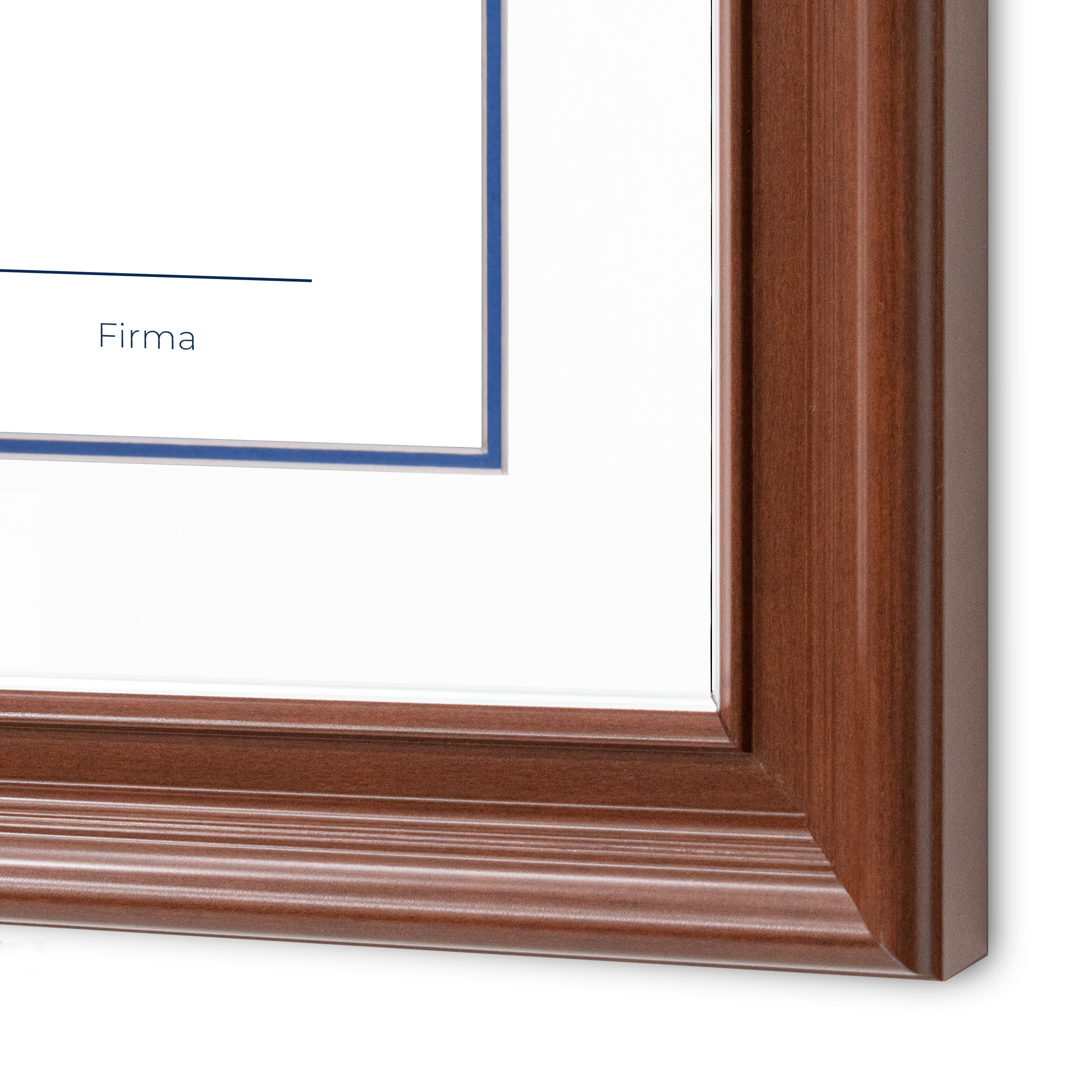 Diploma oficial UAQ Marco Nogal