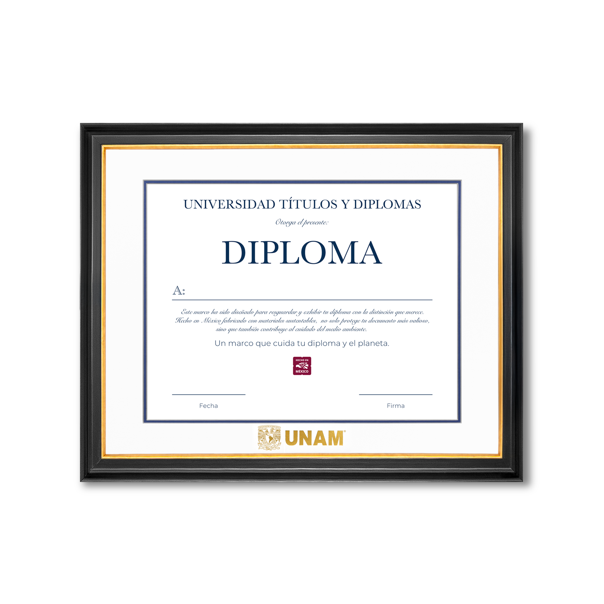 Diploma UNAM de Madera Facultad de Ingeniería