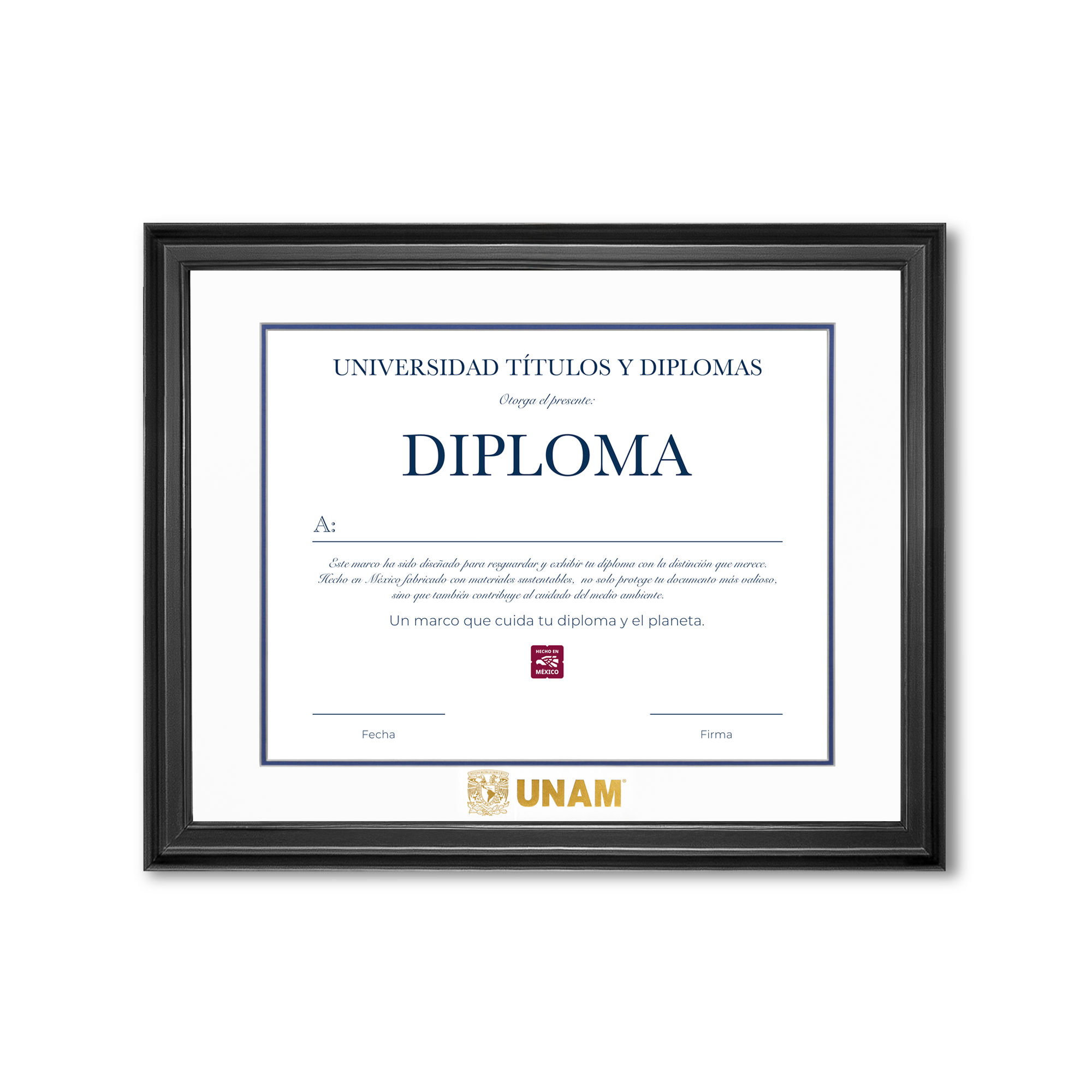 Diploma UNAM de Madera Facultad de Ingeniería