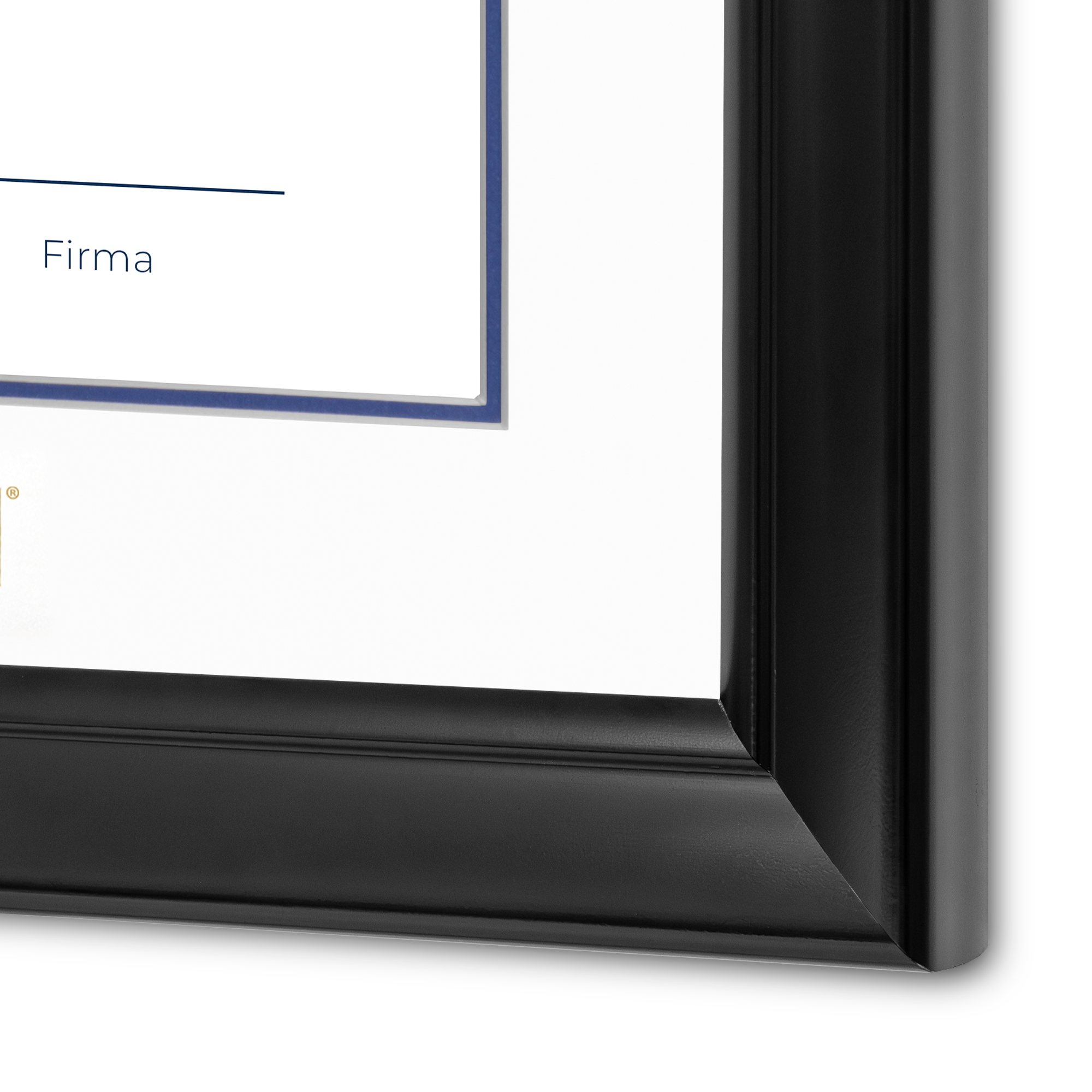 Diploma UNAM de Madera
