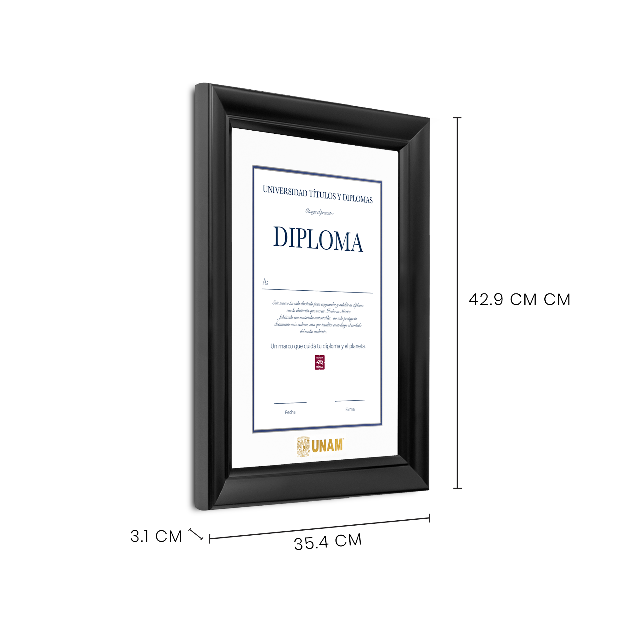 Diploma UNAM de Madera