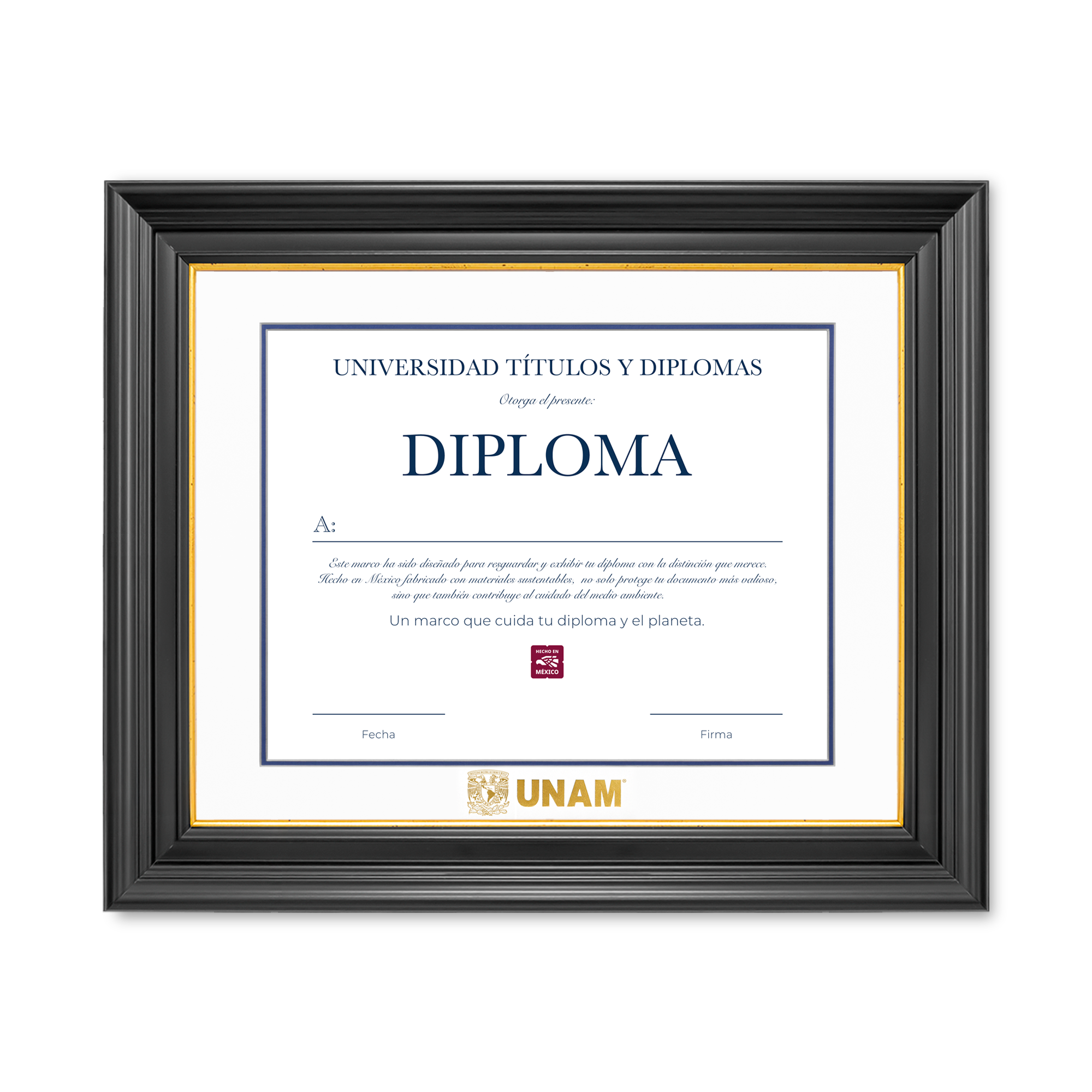 Diploma UNAM de Poliestireno