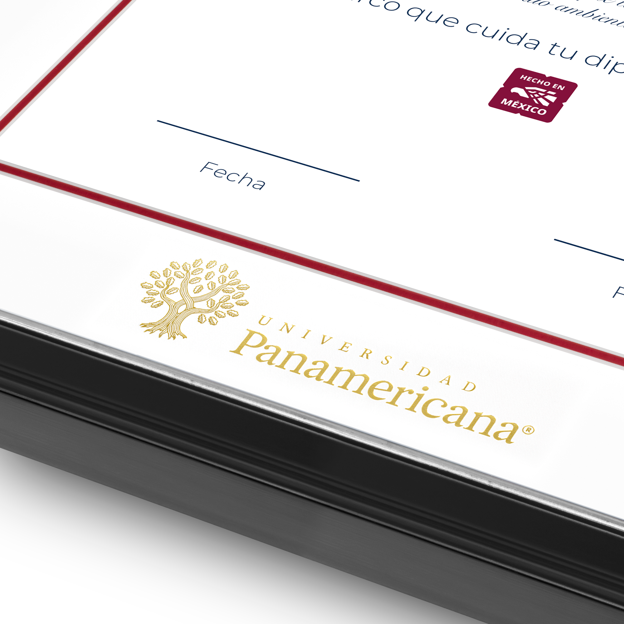 Diploma oficial UP Marco negro con filo plateado