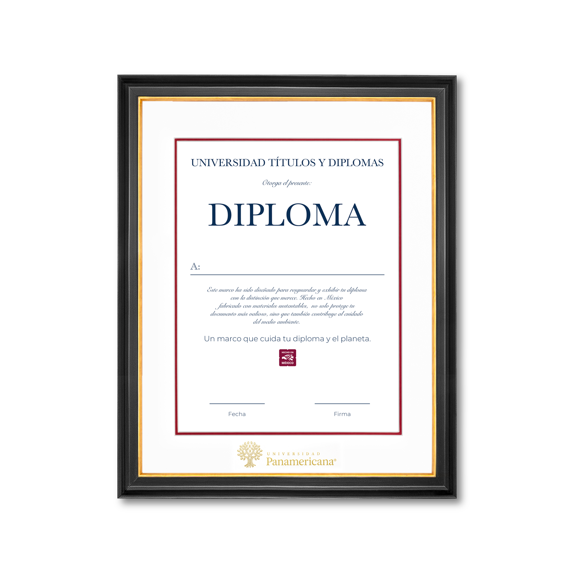 Diploma oficial UP Marco negro