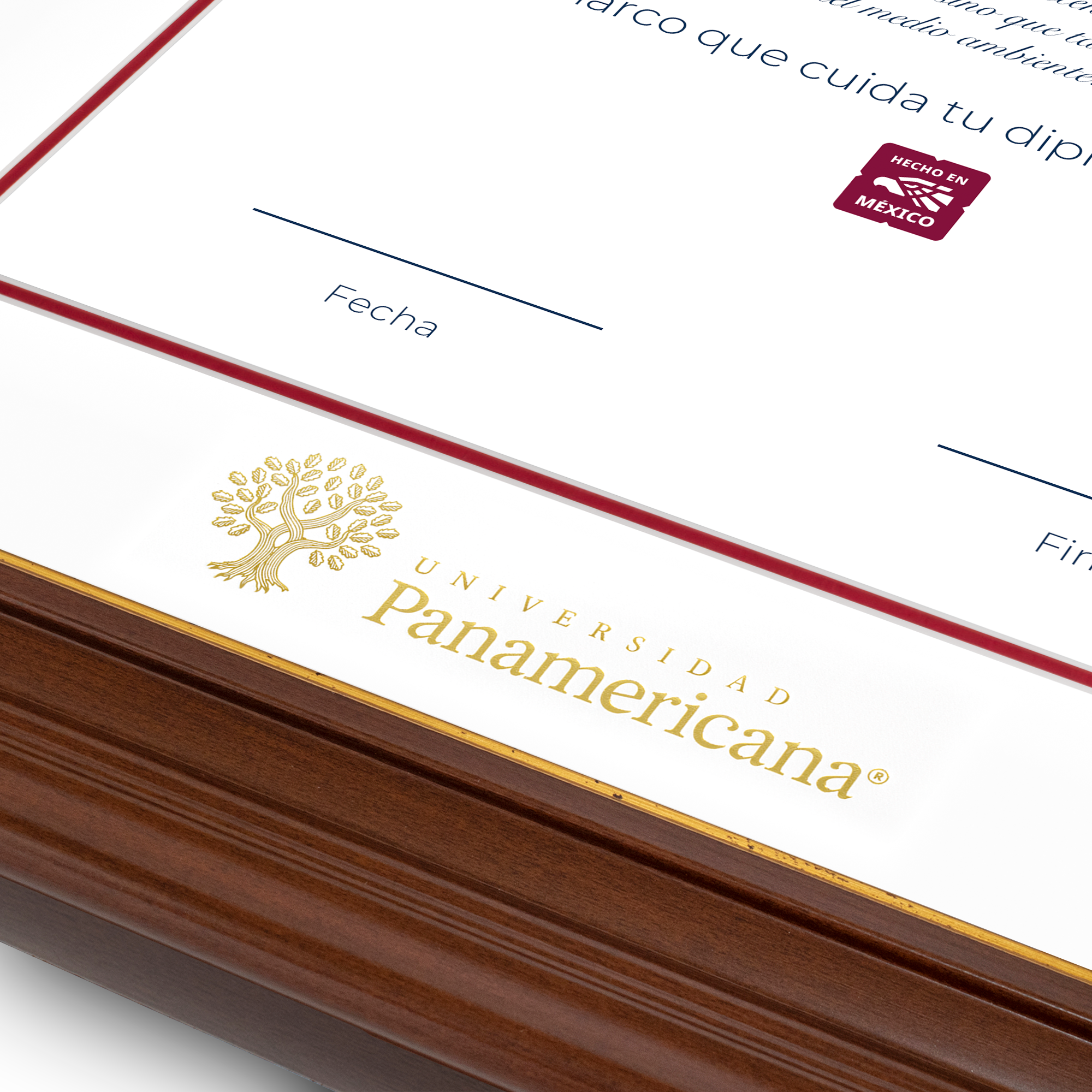 Diploma oficial UP Marco color nogal