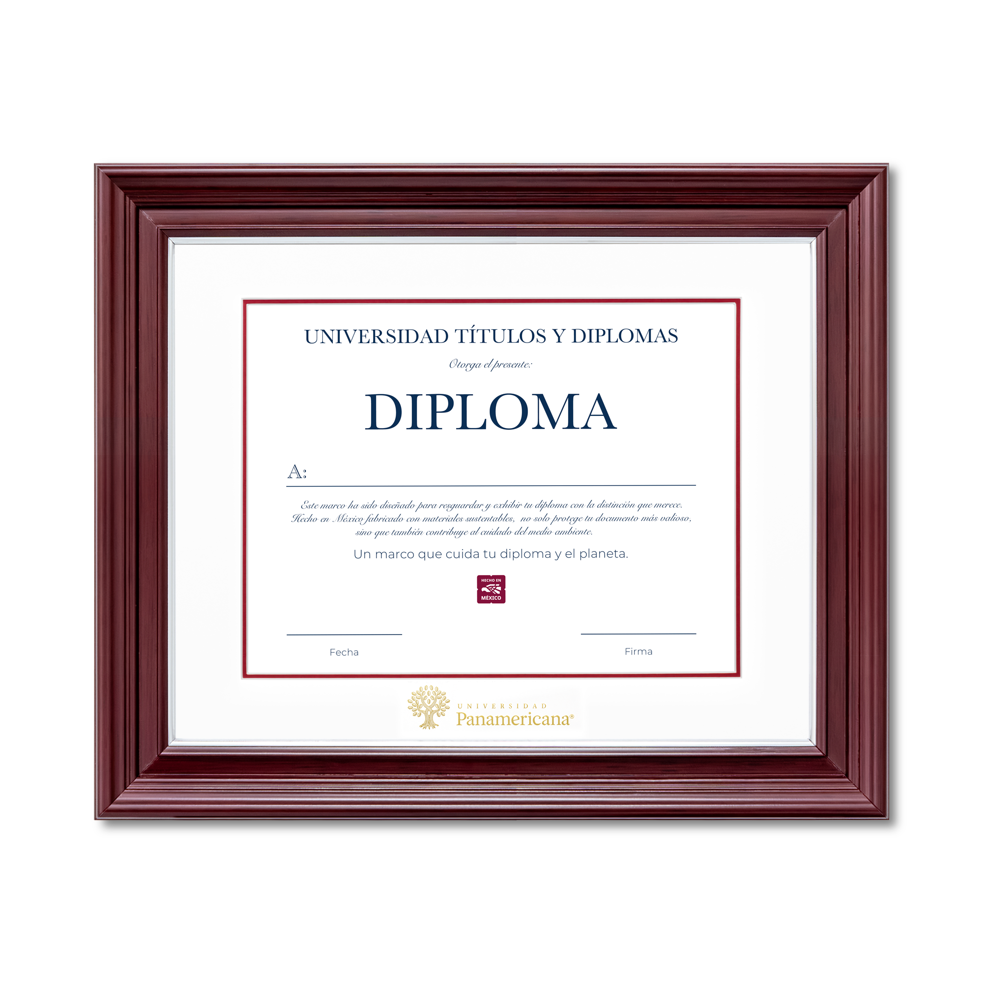 Diploma oficial UP Marco Nogal