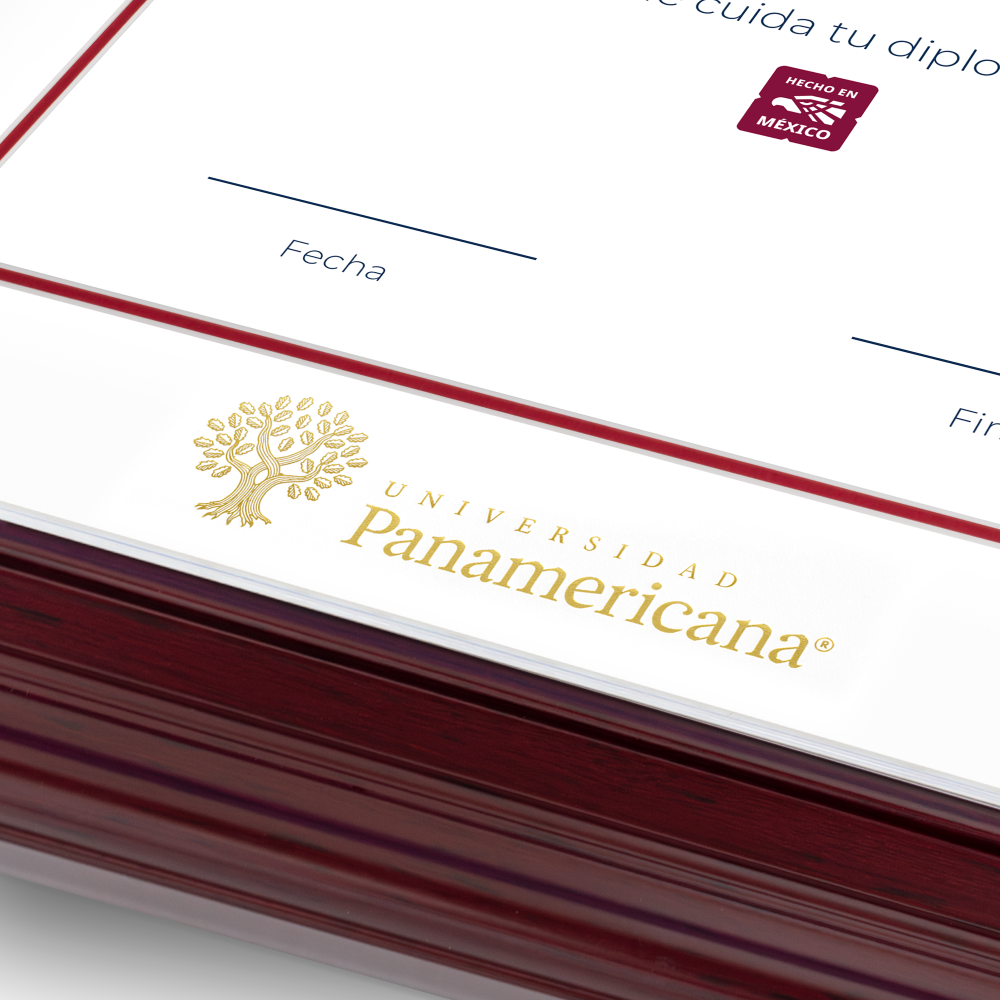 Diploma oficial UP Marco Nogal