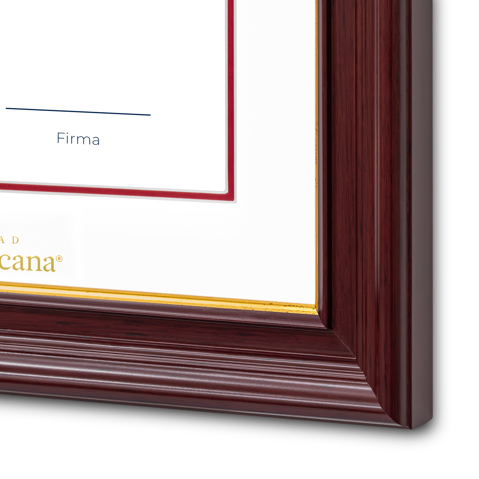 Diploma oficial UP Marco color nogal con filo dorado