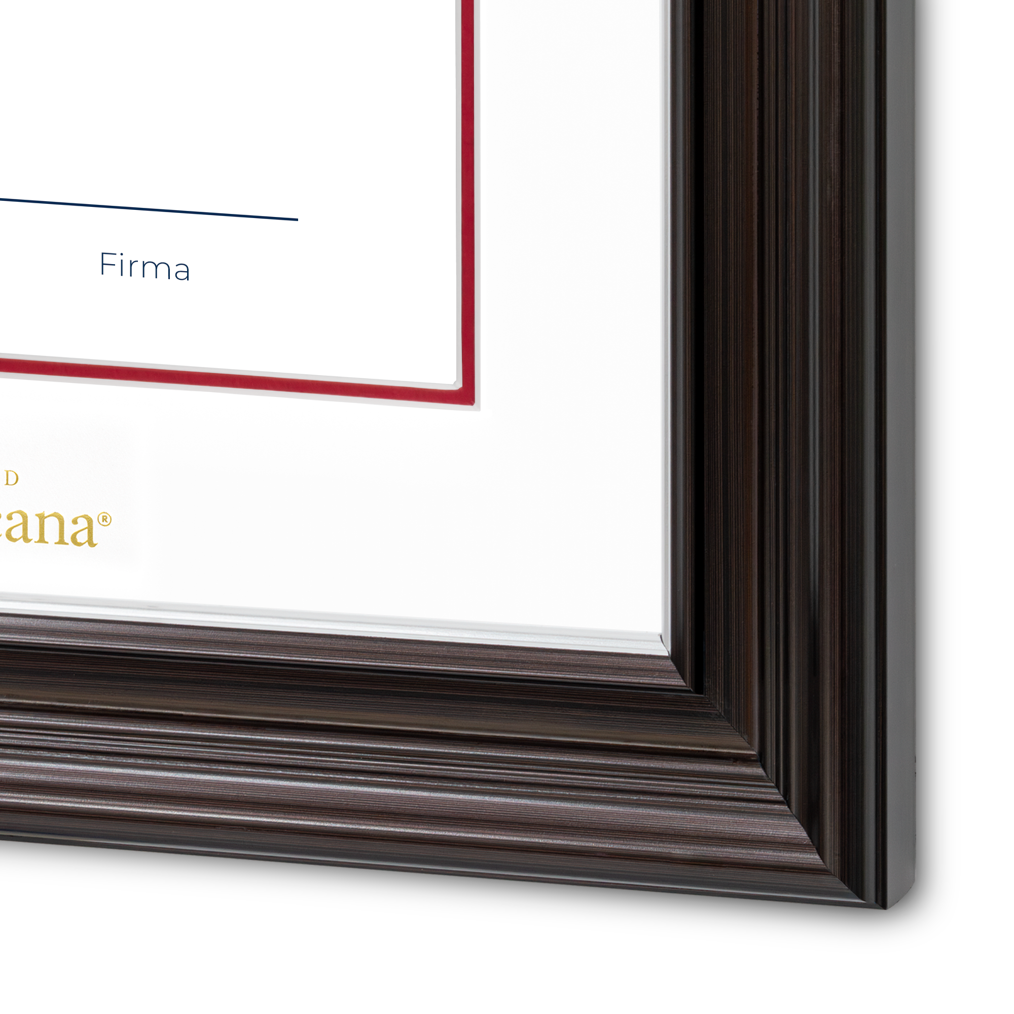 Diploma oficial UP marco color negro