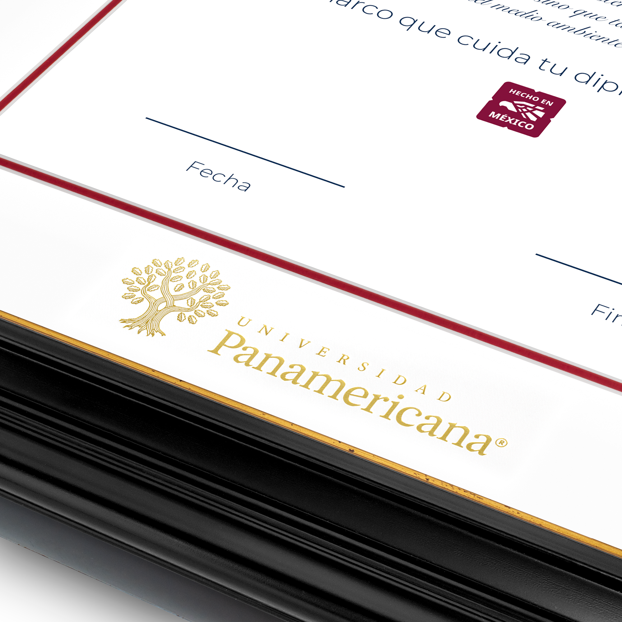 Diploma oficial UP Marco negro