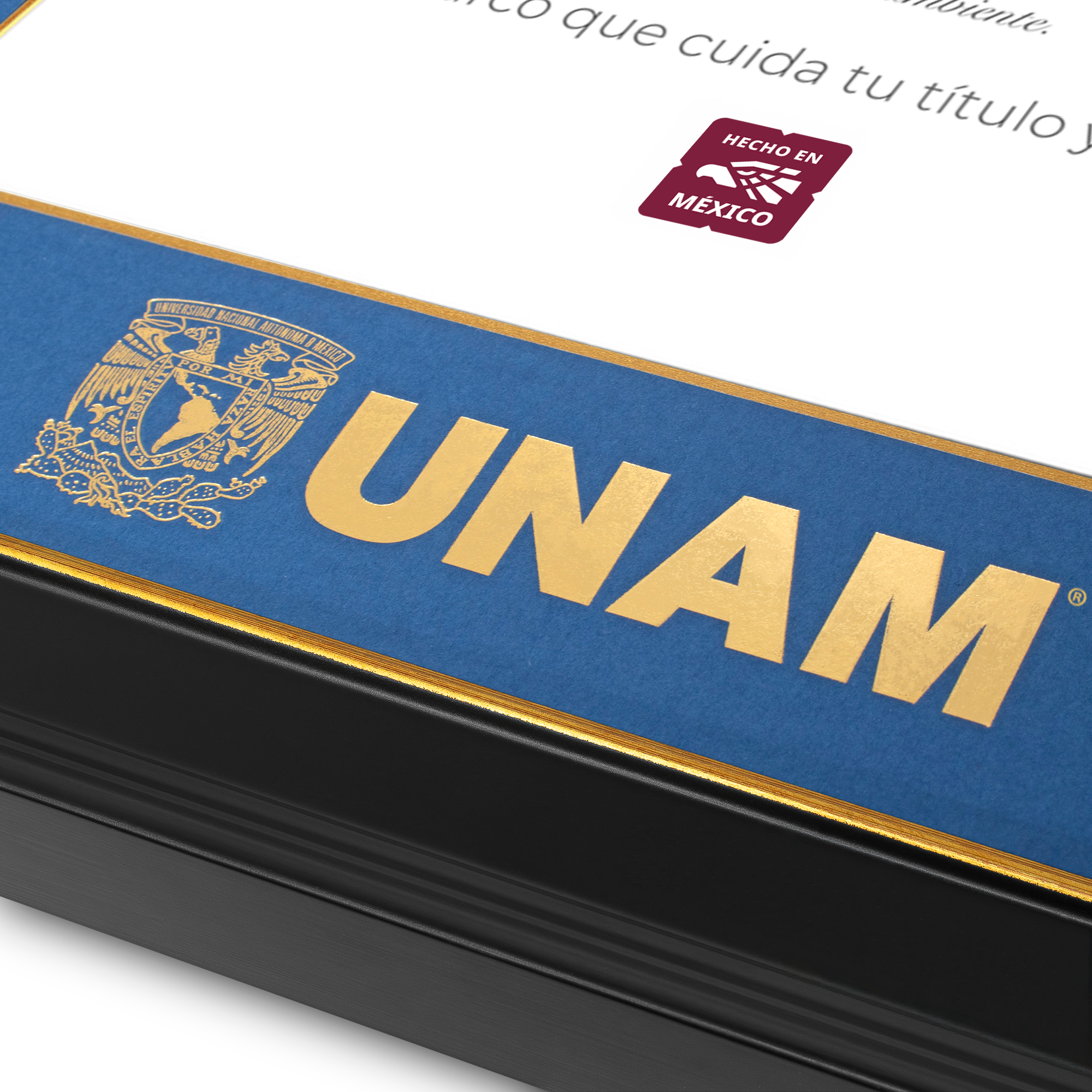 Marco Oficial Facultad de Medicina UNAM® en Color Negro