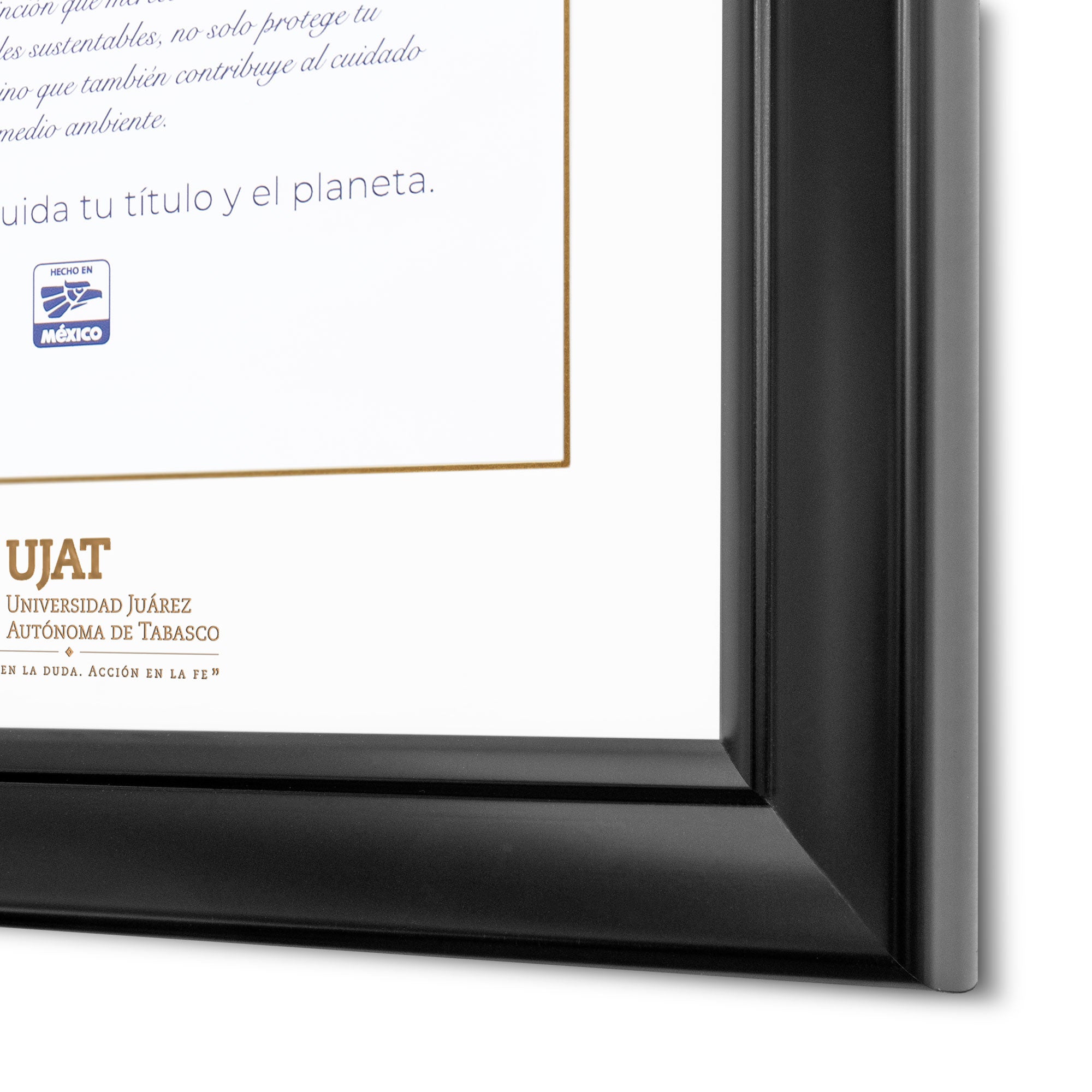 Marco Oficial en para Universidad Juarez Autónoma de Tabasco