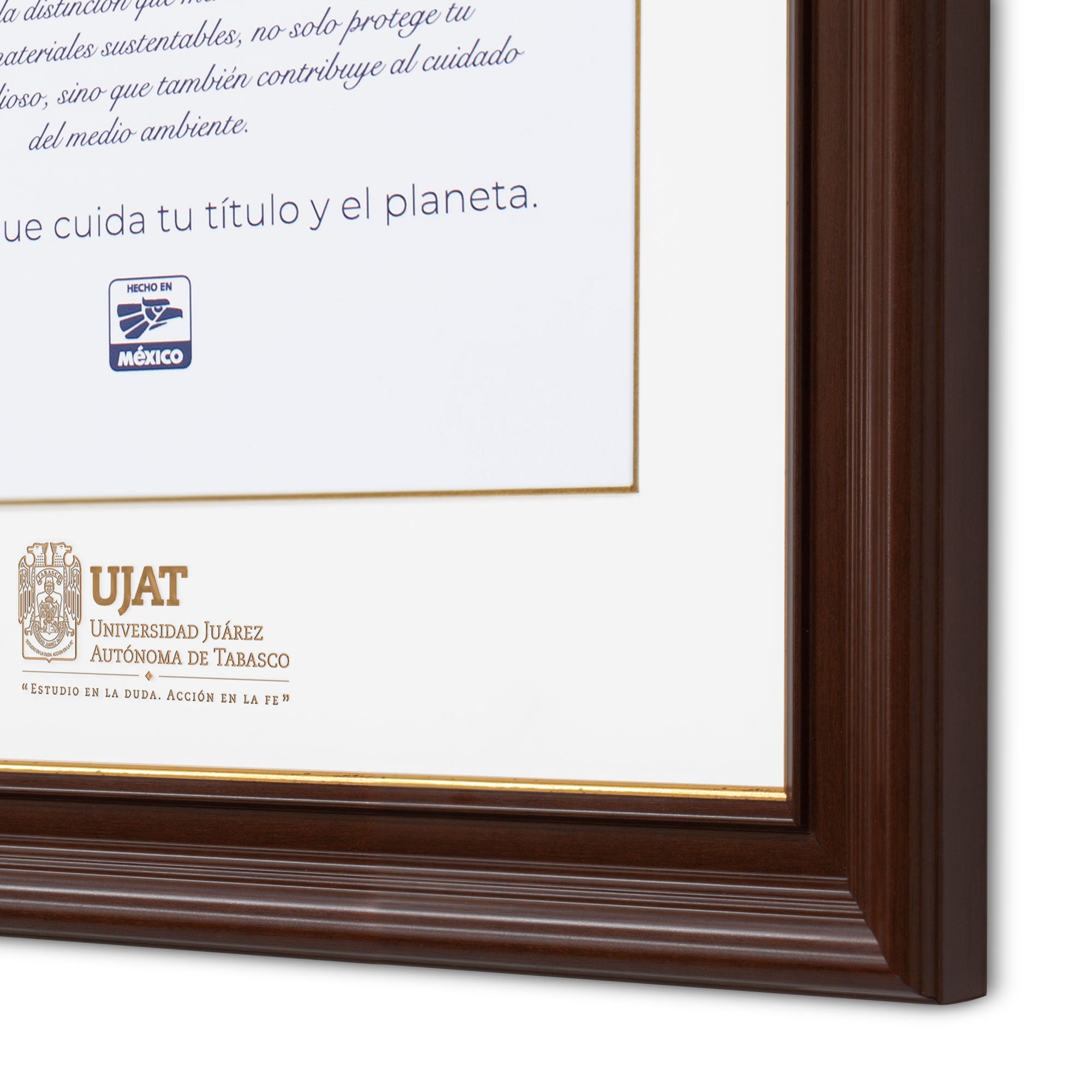 Marco Oficial en para Universidad Juarez Autónoma de Tabasco