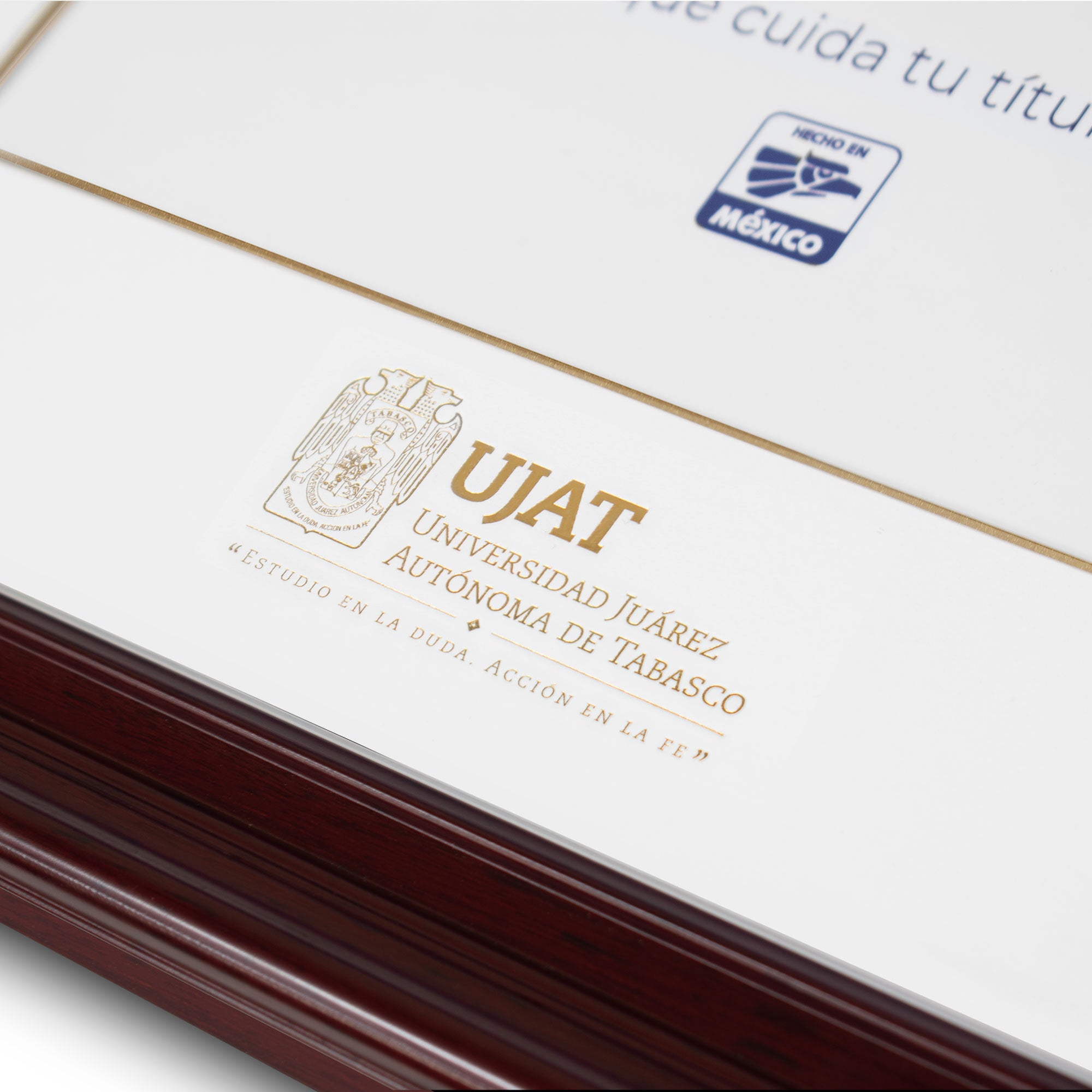 Marco Oficial en para Universidad Juarez Autónoma de Tabasco