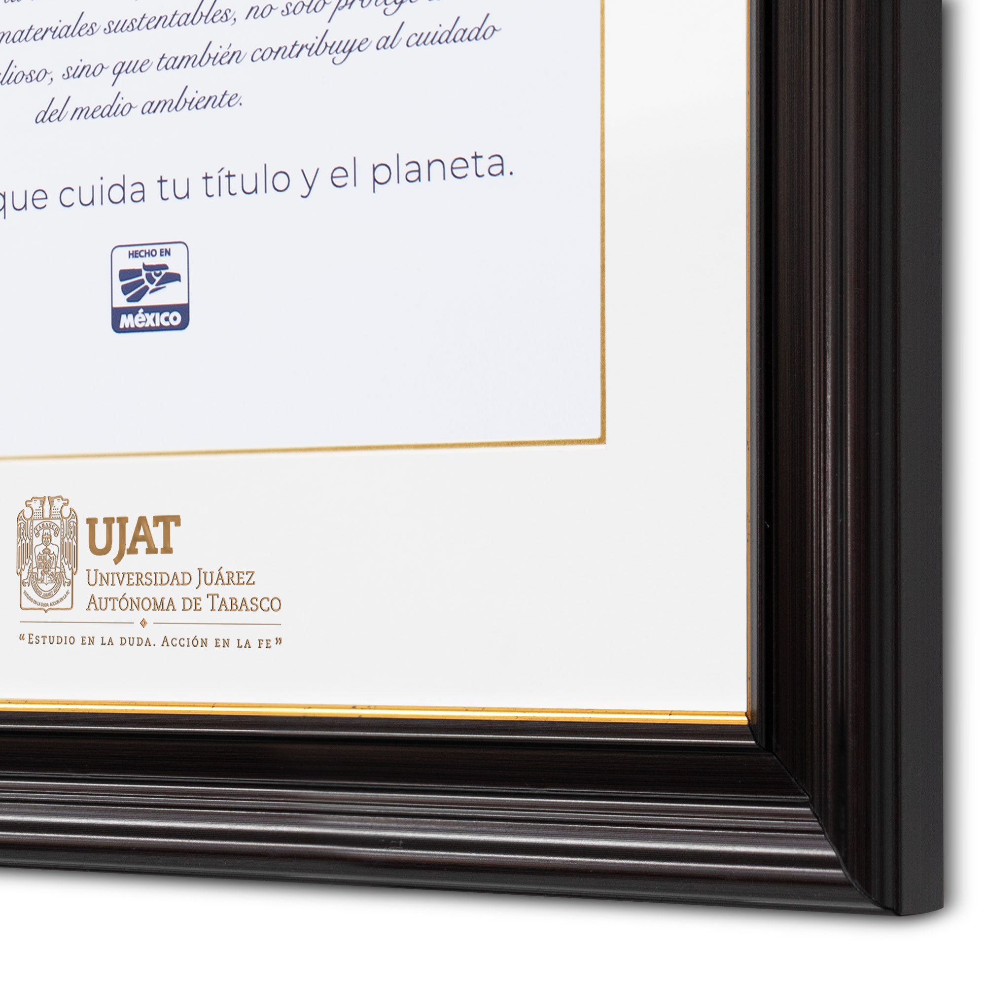 Marco Oficial en para Universidad Juarez Autónoma de Tabasco