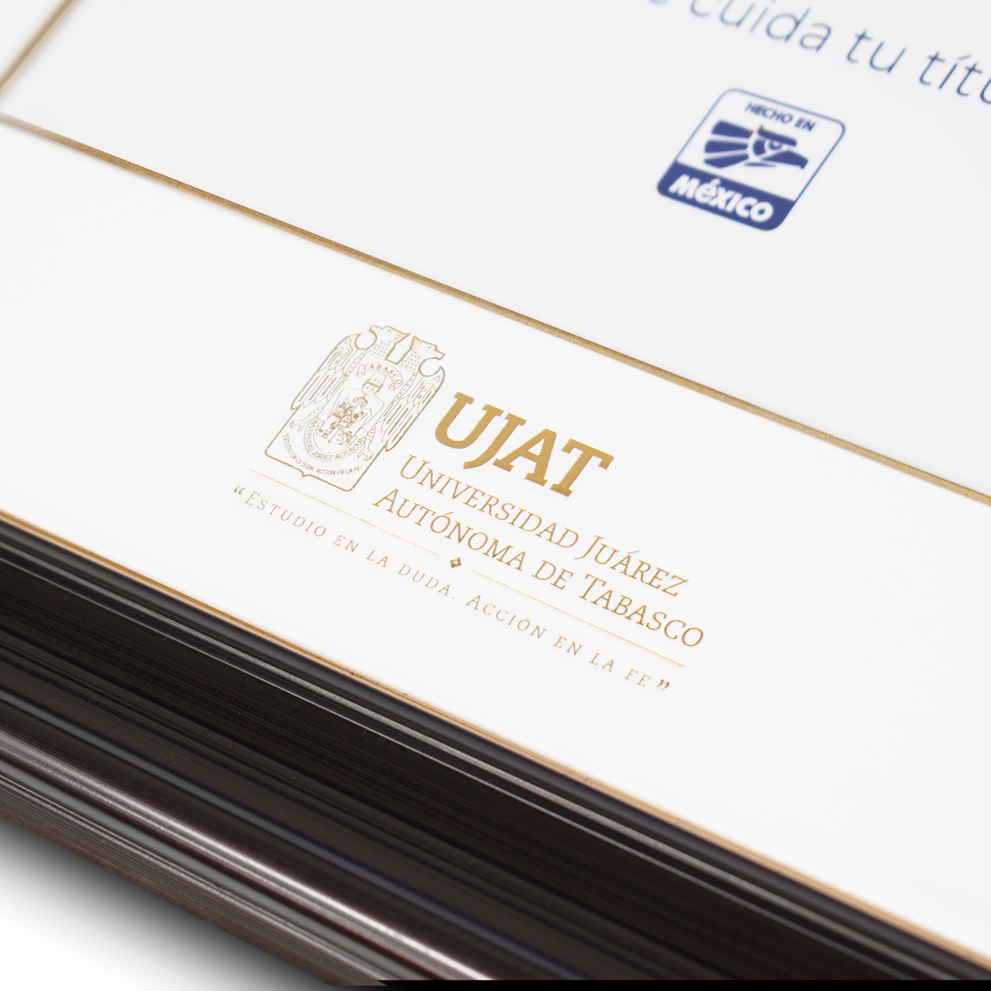Marco Oficial en para Universidad Juarez Autónoma de Tabasco