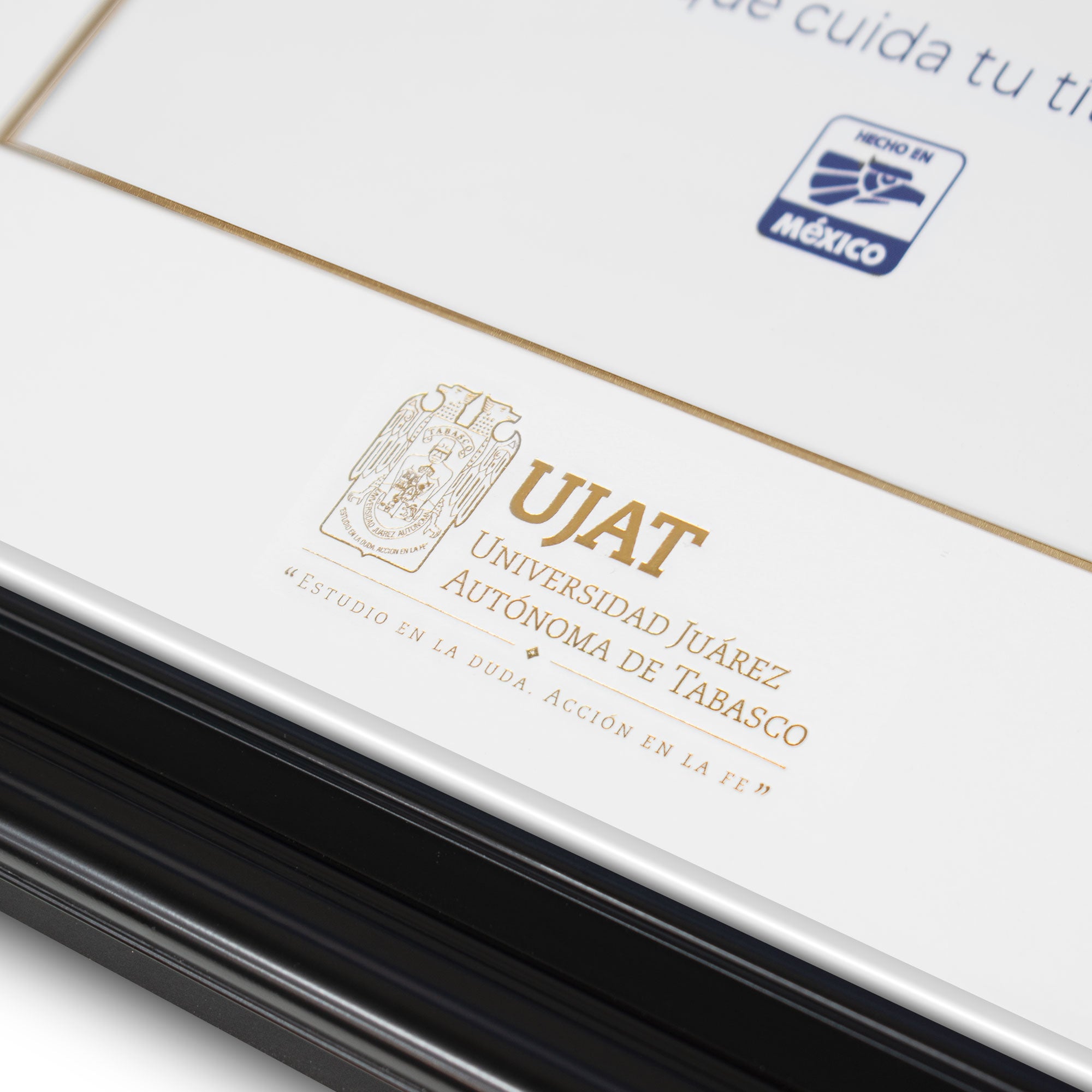 Marco Oficial en para Universidad Juarez Autónoma de Tabasco