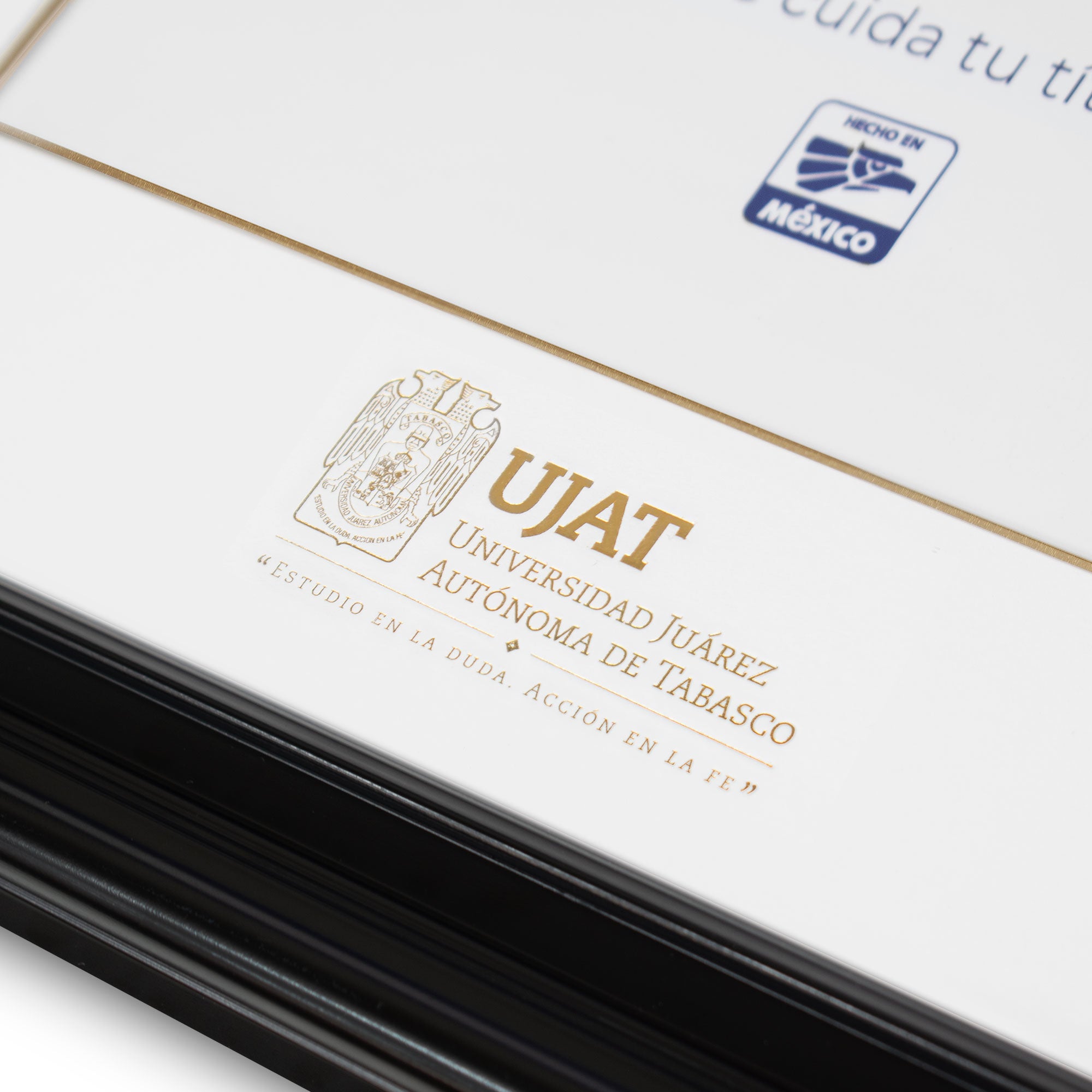 Marco Oficial en para Universidad Juarez Autónoma de Tabasco