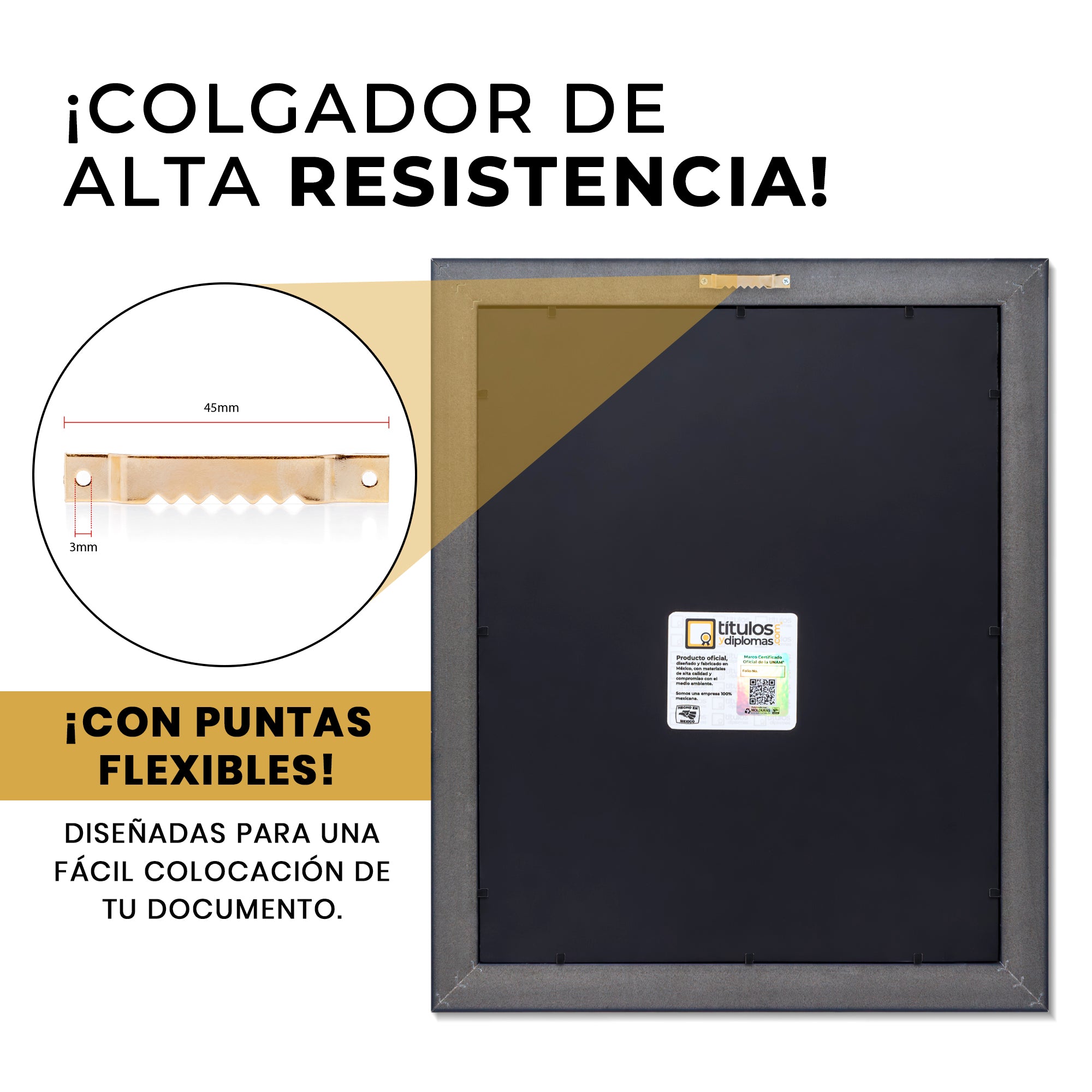 Marco Oficial en Color Negro con Filo Plata para Universidad UACH